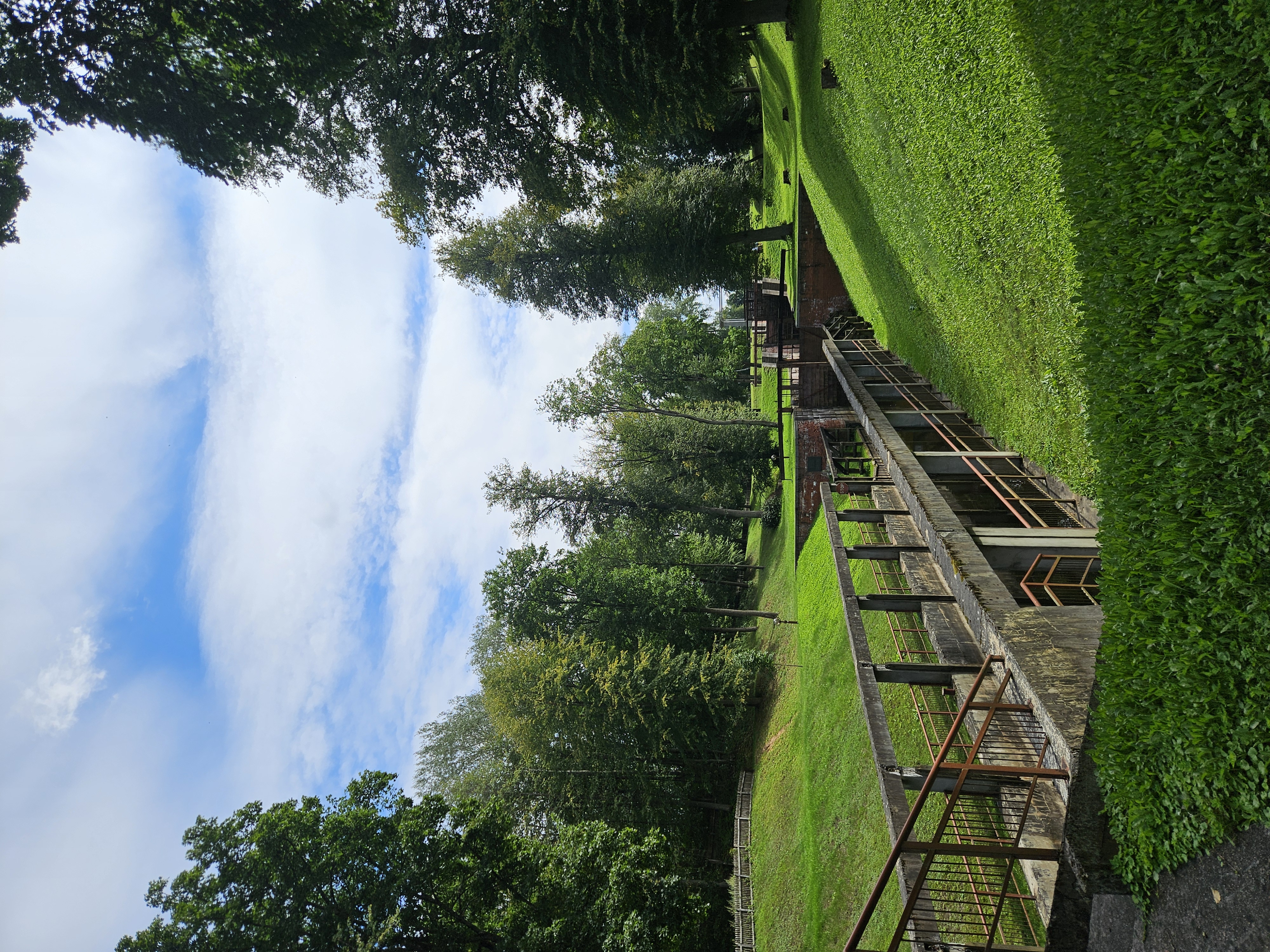 Тур в Беларусь. Замки Великого княжества Литовского и Королевский канал (33/46)