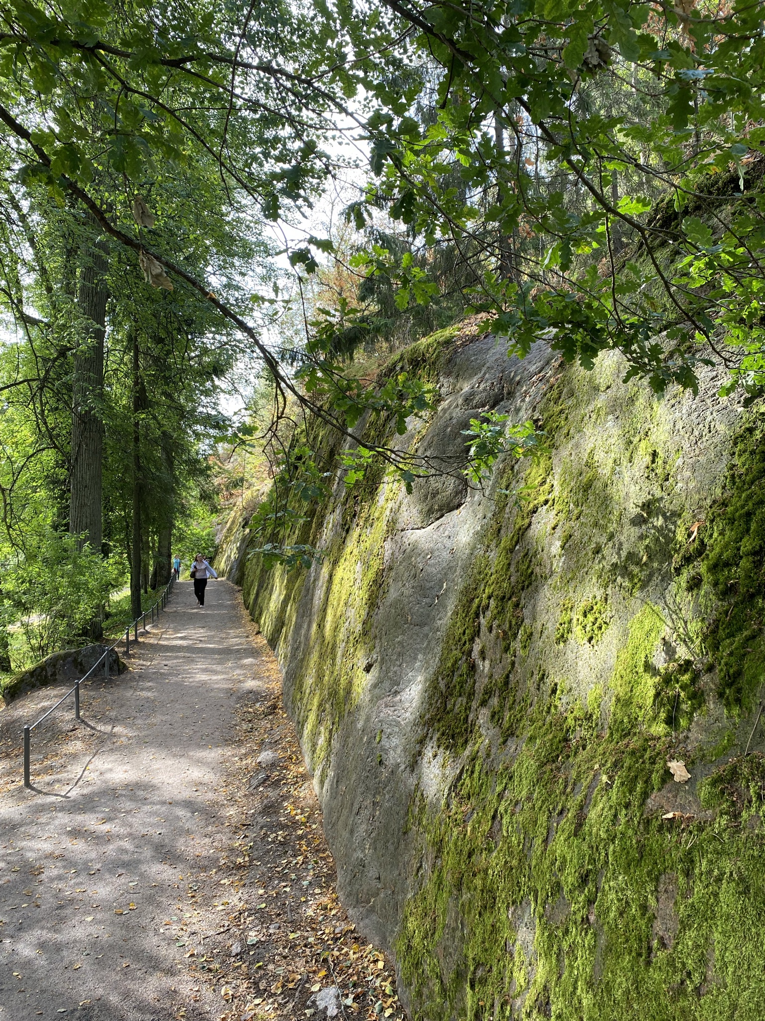 Старт в Выборге: Истории и тайны средневекового Выборга (10/12)