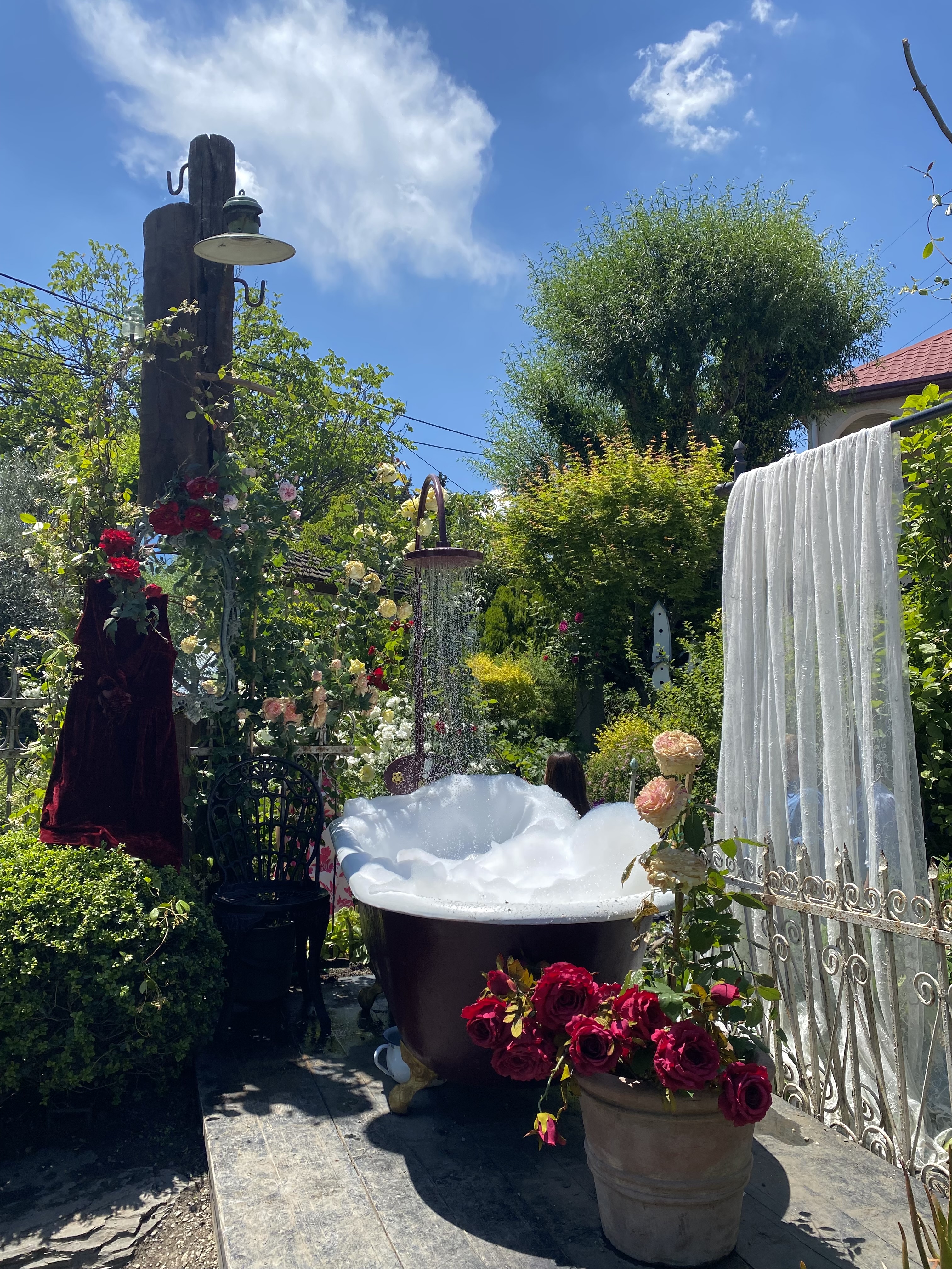 Комфорт тур в Грузию. Насыщенный маршрут, маленькая группа, хорошие отели (48/48)