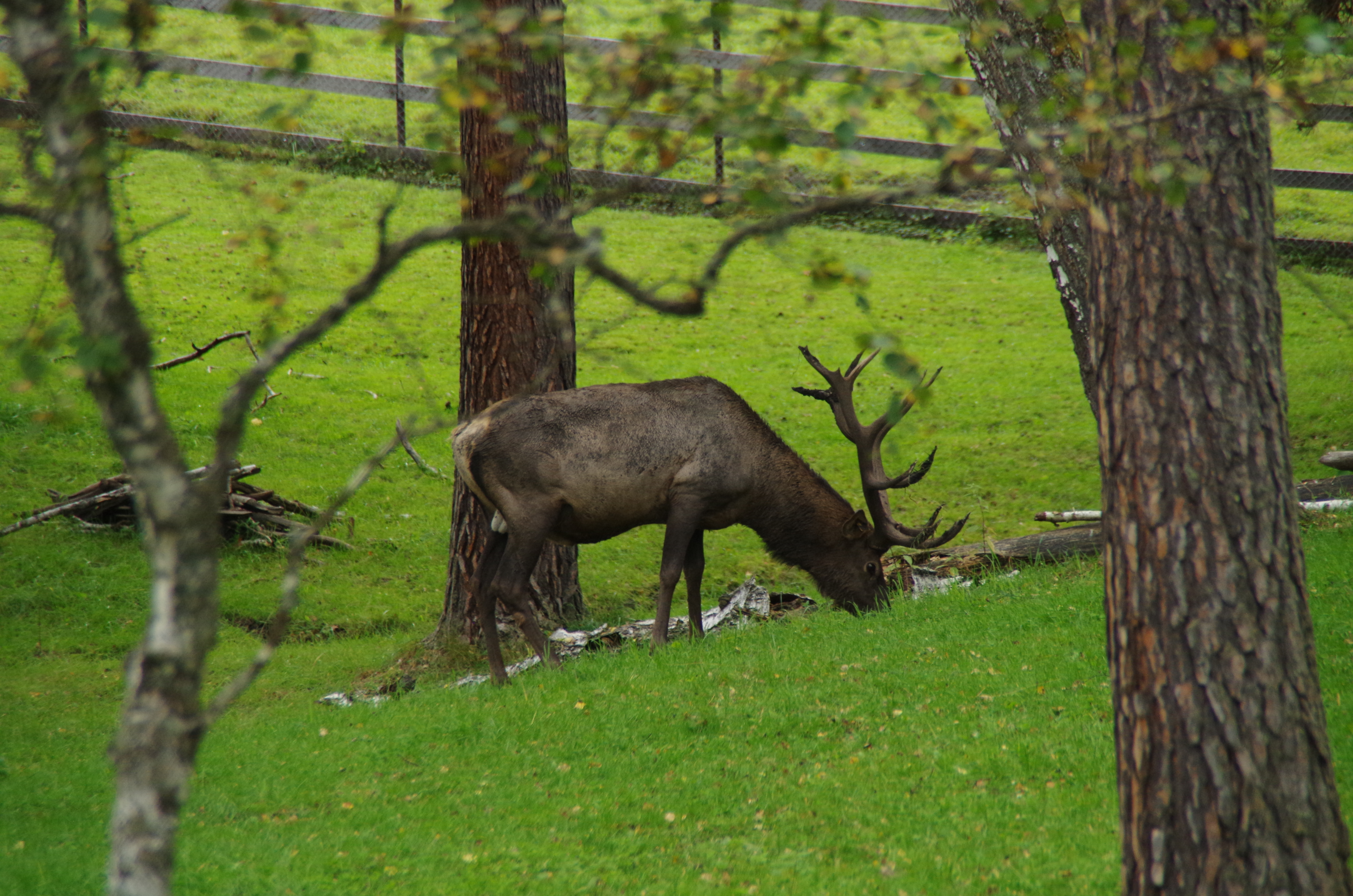 Уральский мультитур (6/11)
