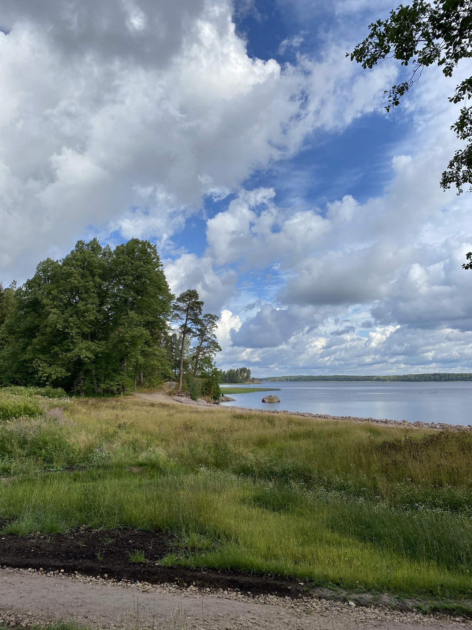 Старт в Выборге: Истории и тайны средневекового Выборга (11/12)
