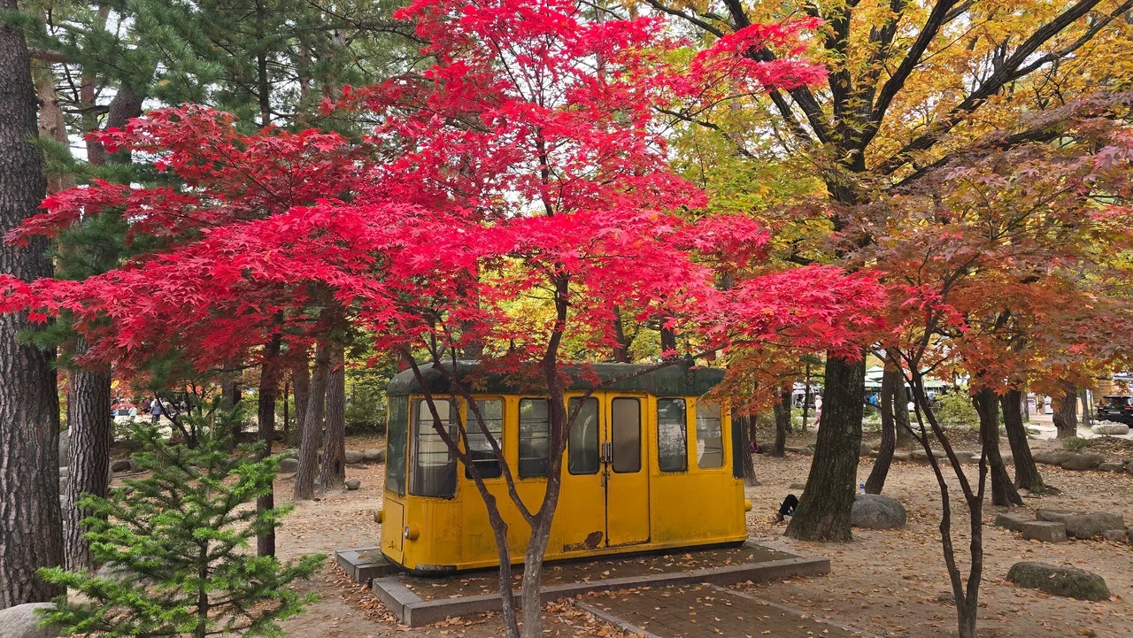 Южная Корея от Сеула до Чеджу. Семь чудес осени