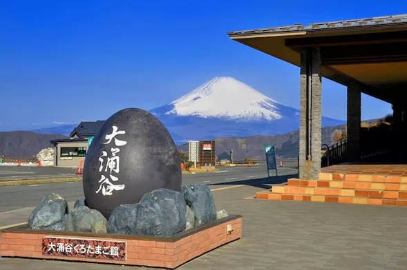 Fantastic Mt. Fuji & Hakone Sightseeing 1-day Bus Tour (4/7)