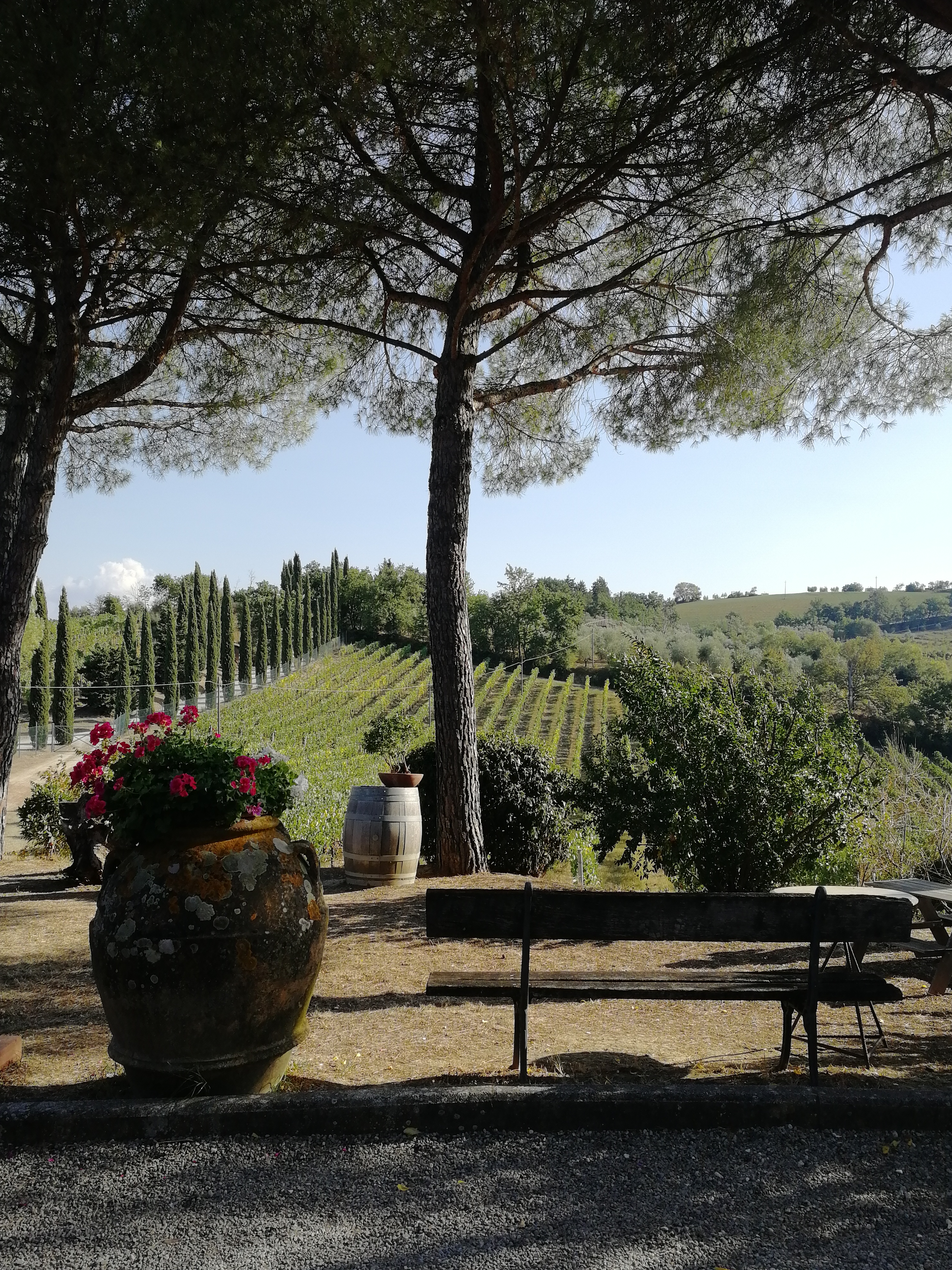 Вино Кьянти: погружение в сердце Тосканы