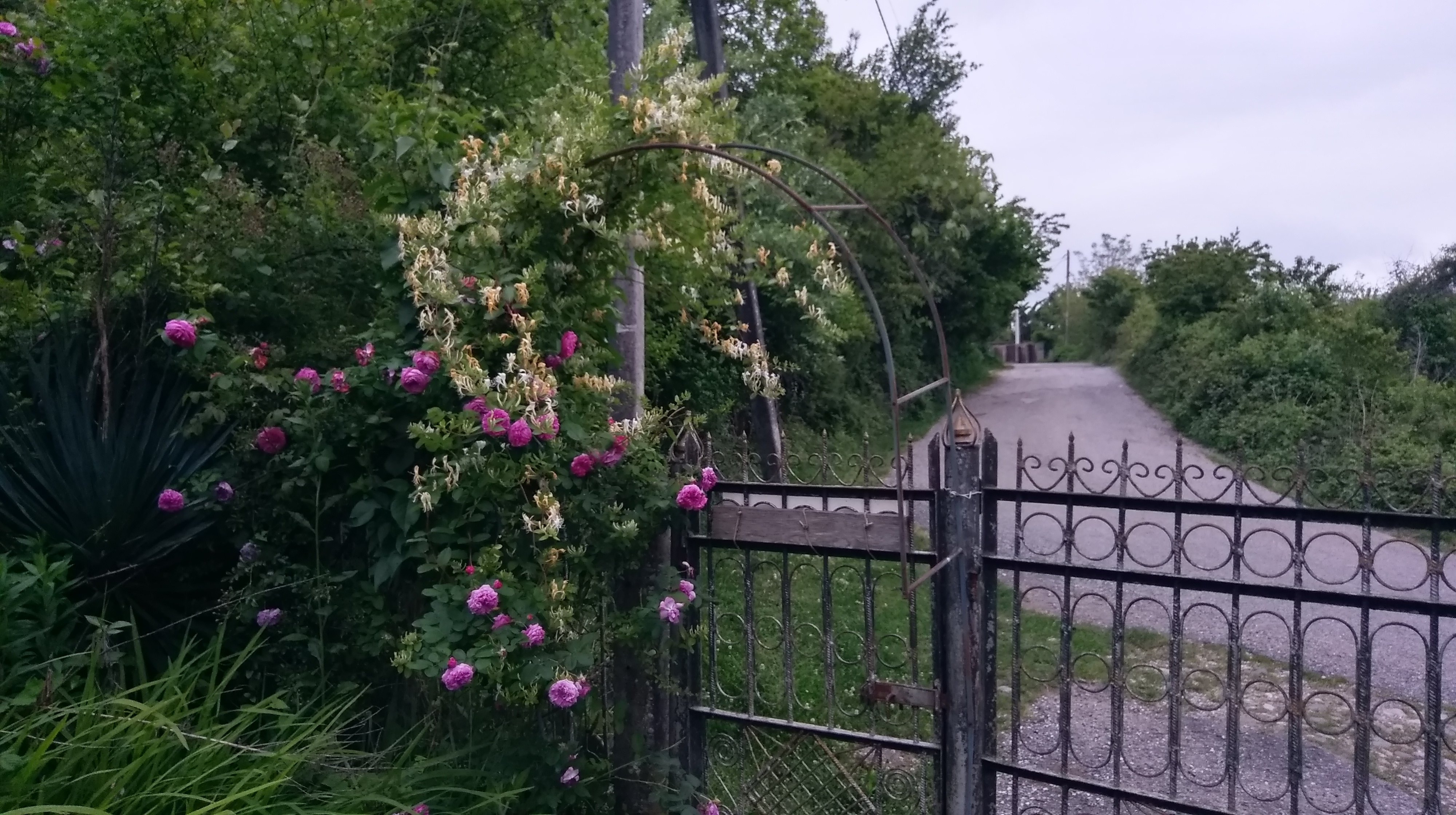 Коммуна русских идеалистов и мистика Абхазии!