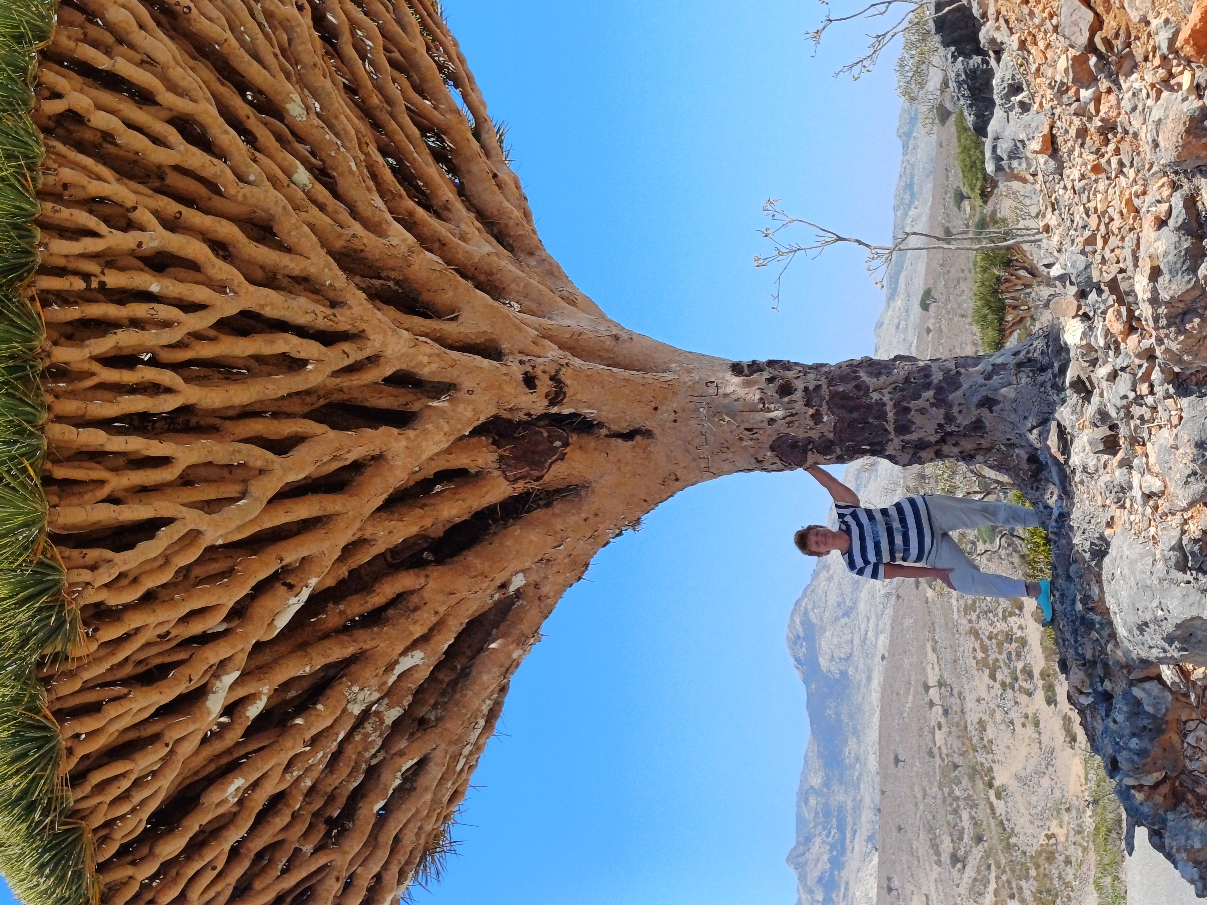 Дюны Архер-Сэндбординг-Риф Ди-Хамри-Хадибо