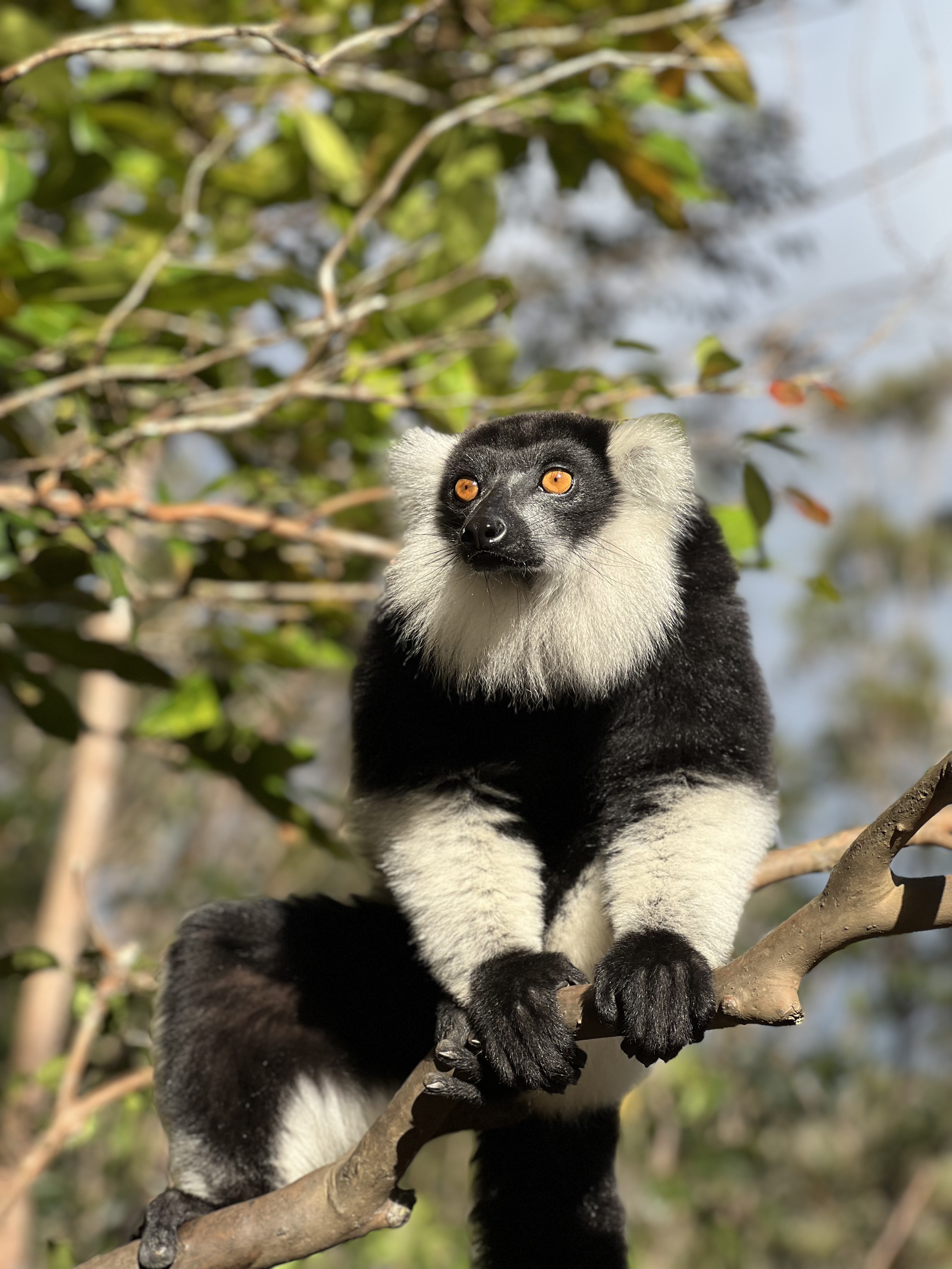 Мадагаскар тур