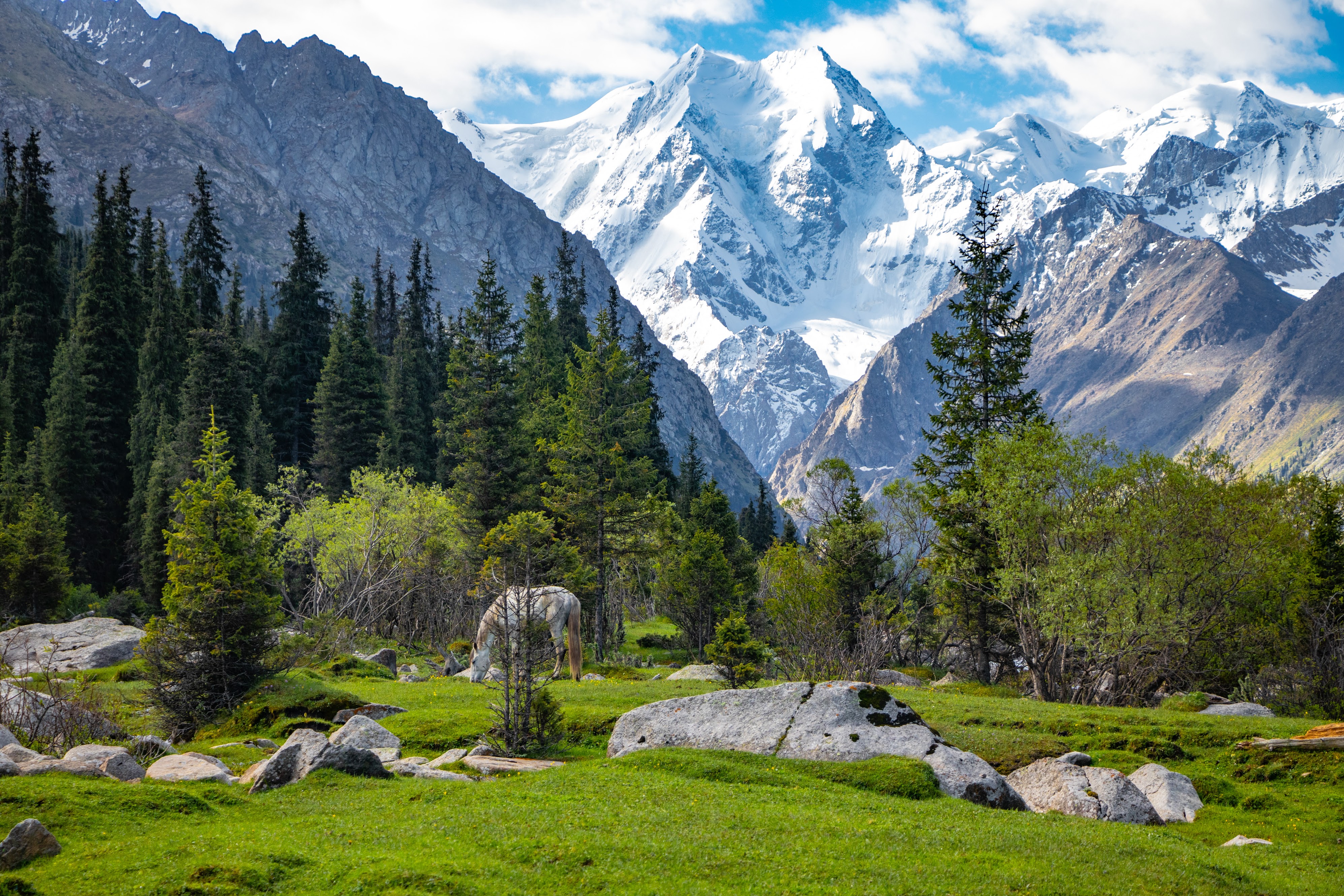 Из аэропорта Бишкека — сразу в горы Тянь-Шаня