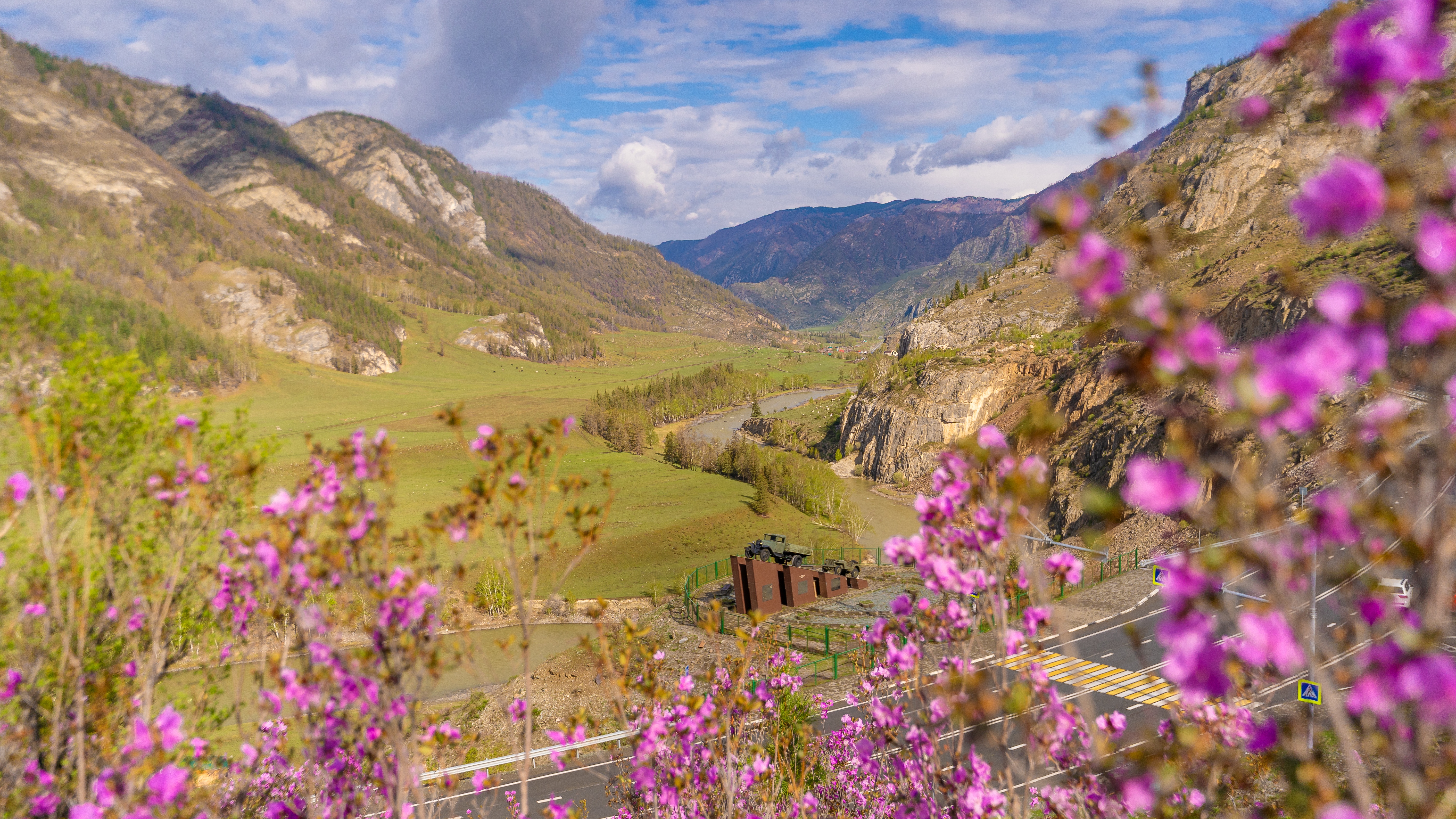 Цветение маральника на Алтае/ 4 дня. Комфорт-тур