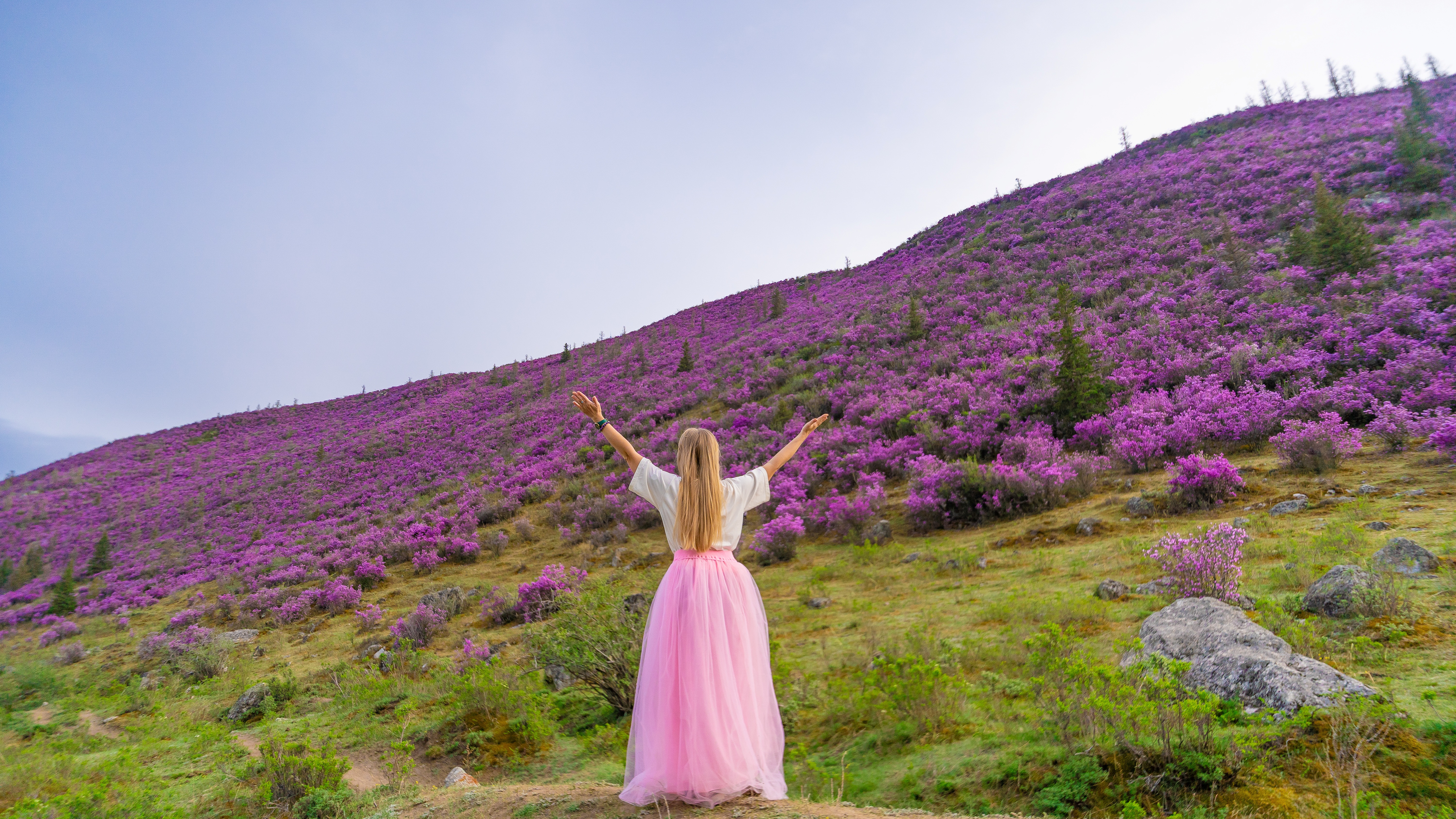 Весенний Алтай. Когда цветёт Маральник / 6 дней