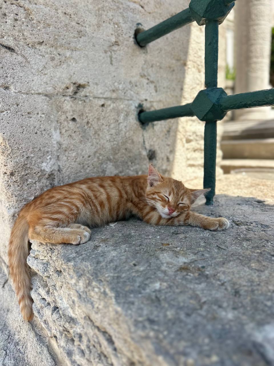 Добро пожаловать в Турцию