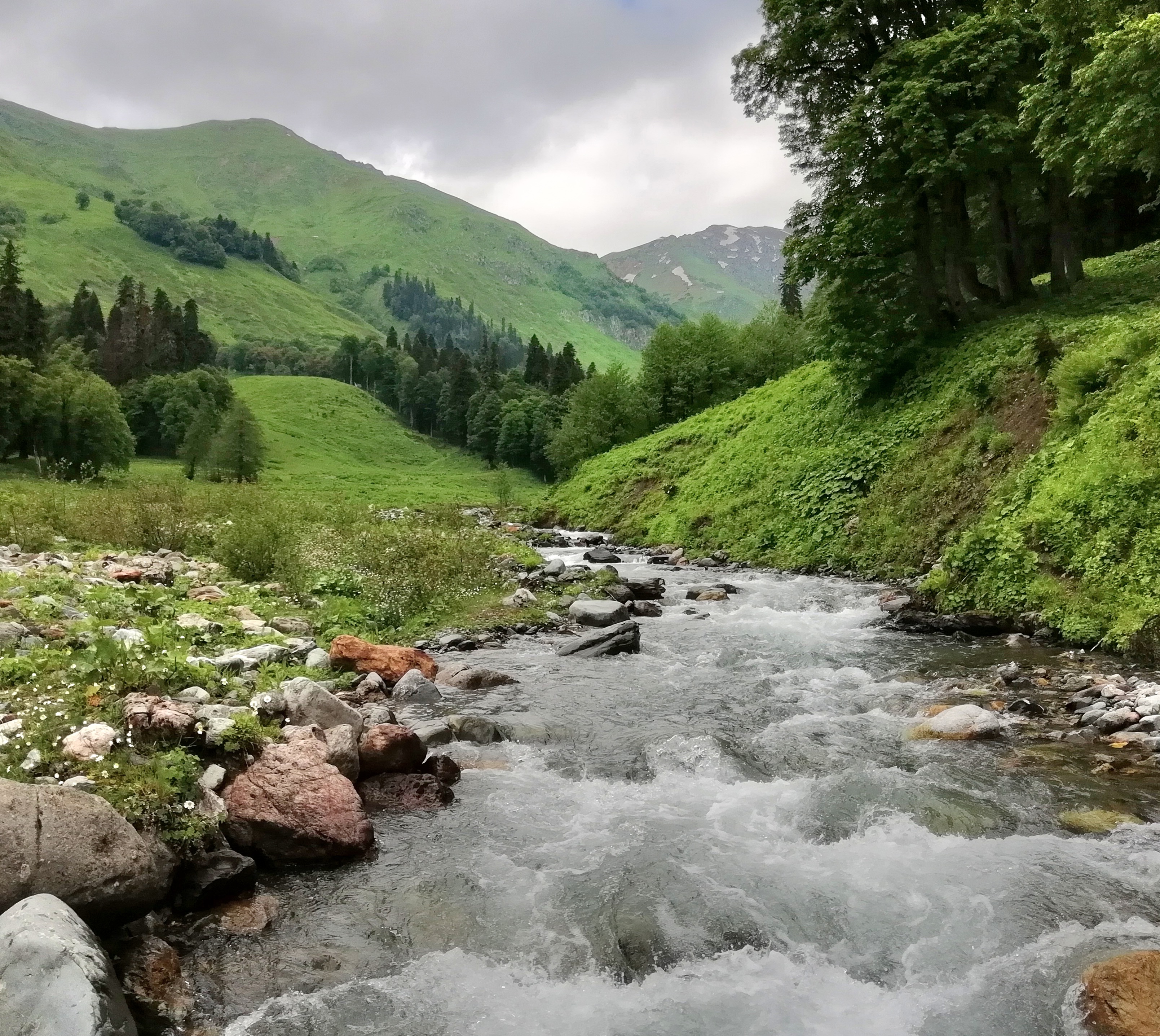 Май в Абхазии-3 дня