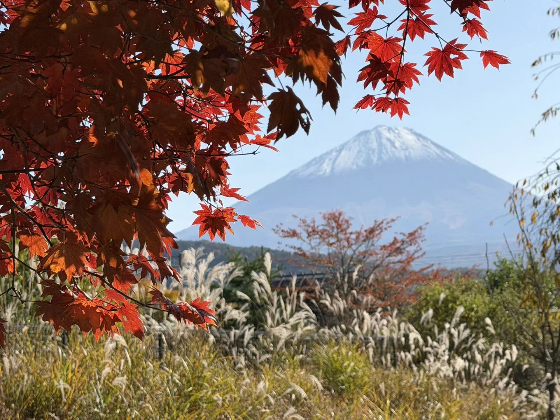 Японские Альпы. От Токио до Киото через Канадзаву