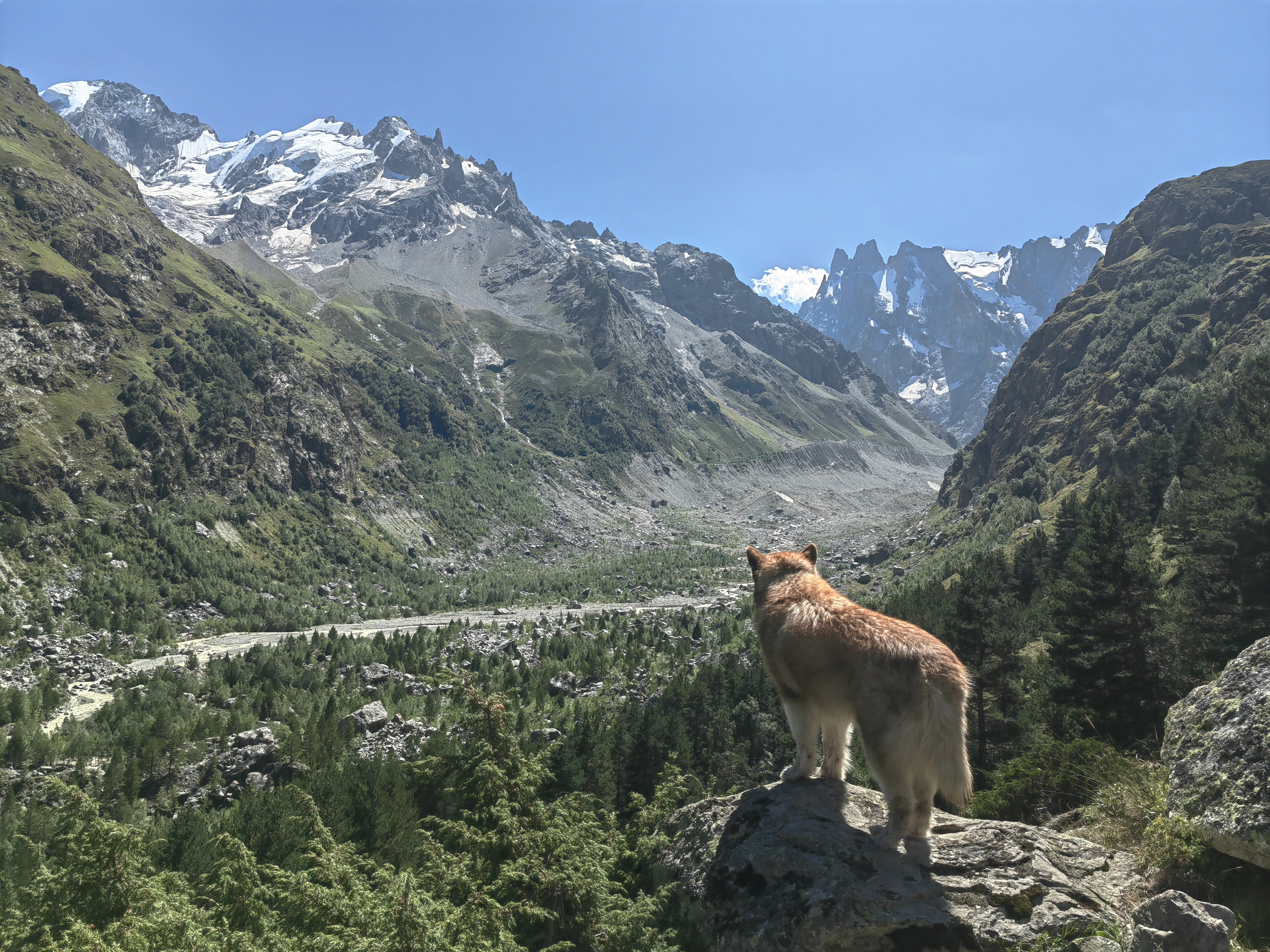 Ущелье Шхельда