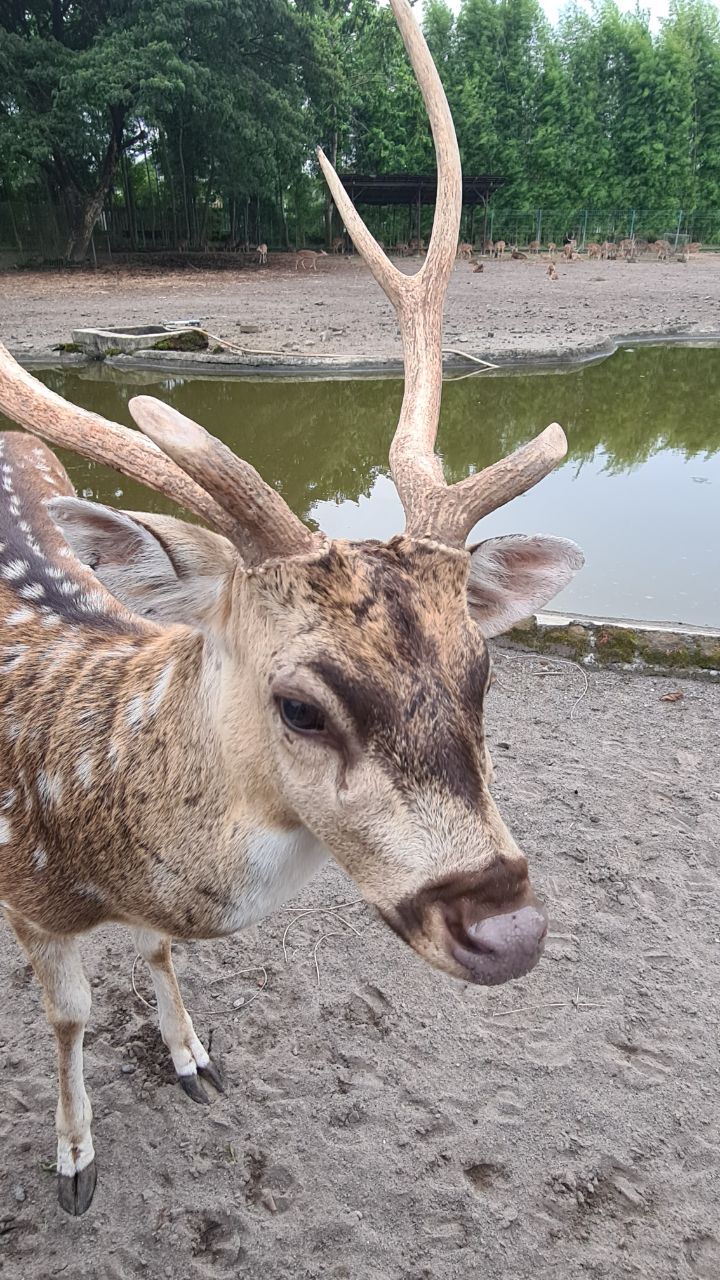 Легенды и Мифы острова Ява