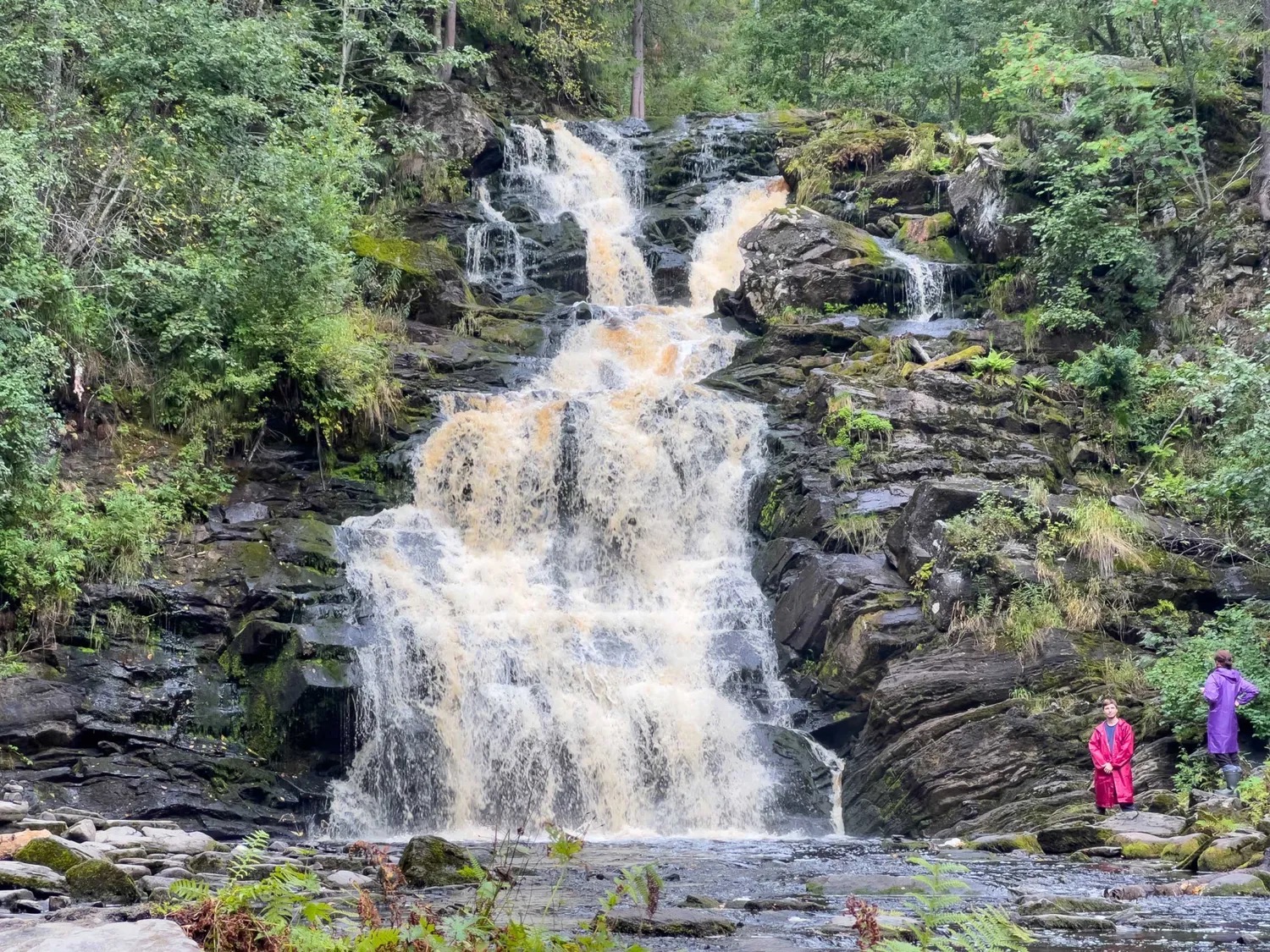 Перезагрузка: топ-места и домики на берегу. Комфорт+