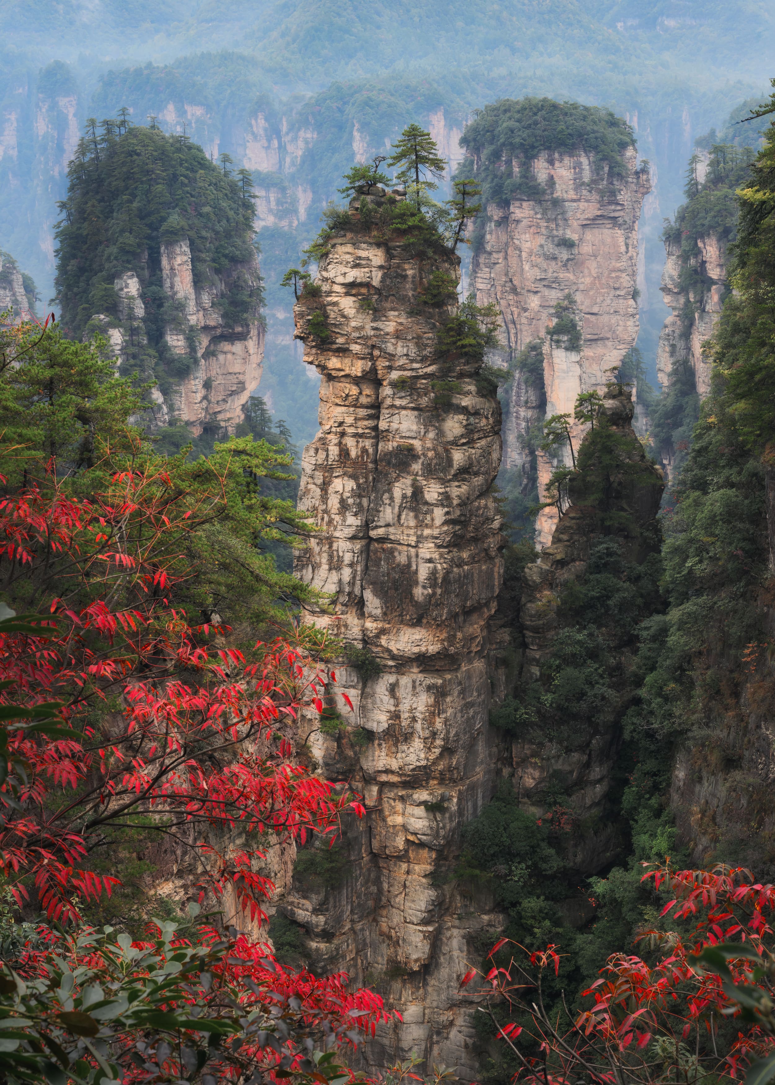 Чжандзяцзе (Zhangjiajie)