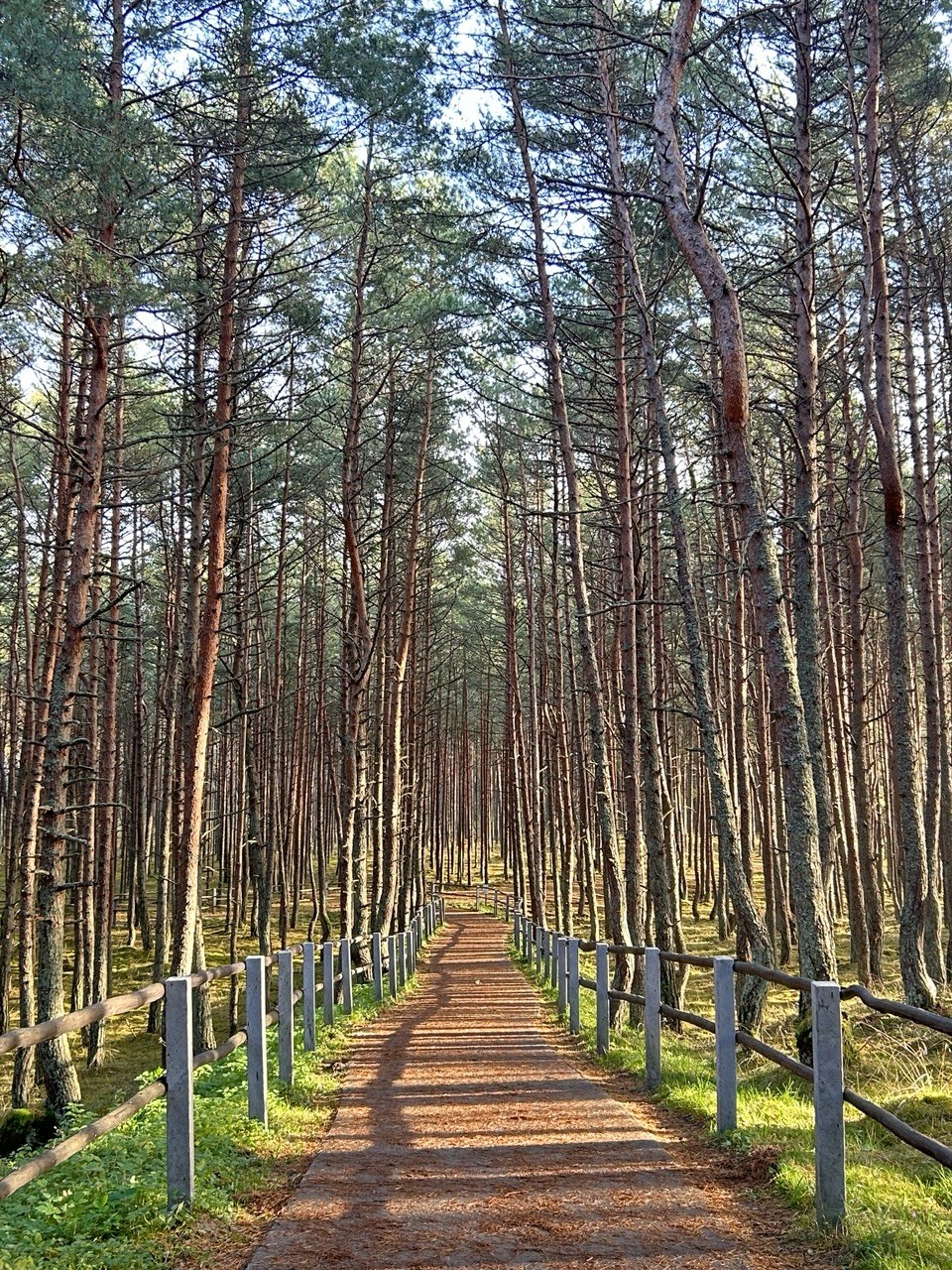 Вся Восточная Пруссия за четыре уникальных дня