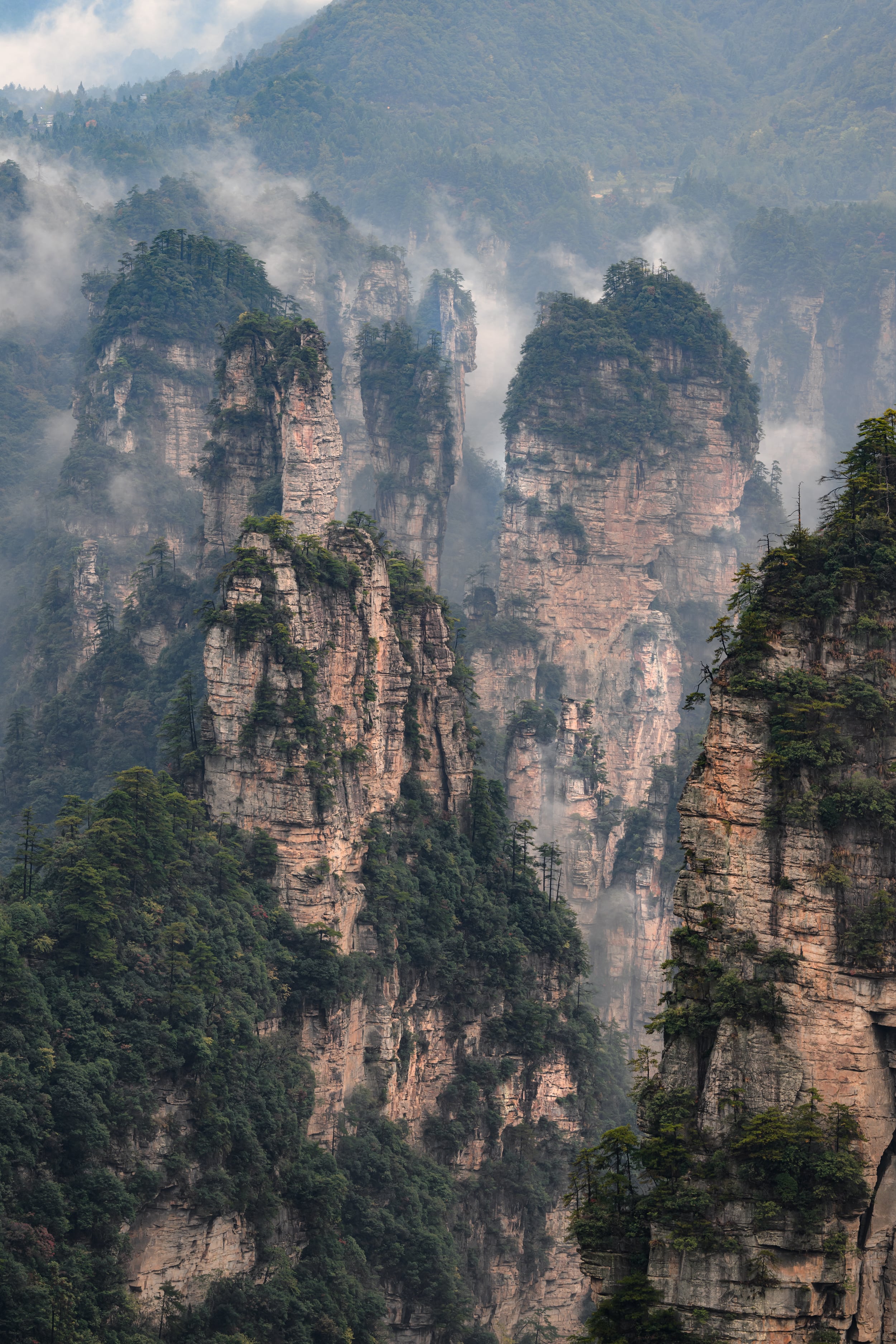 Чжандзяцзе (Zhangjiajie)