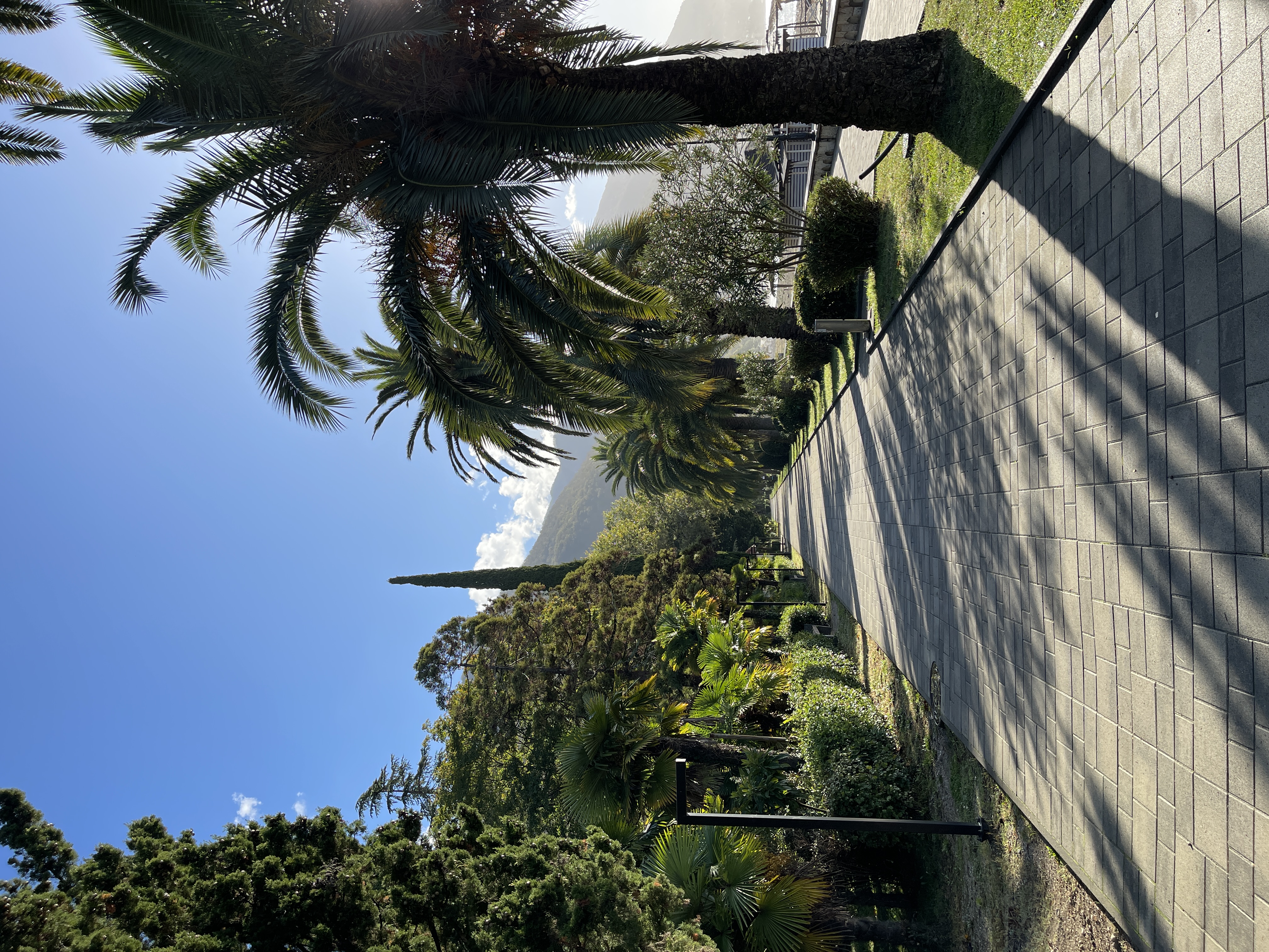 Золотая Абхазия в мини группе