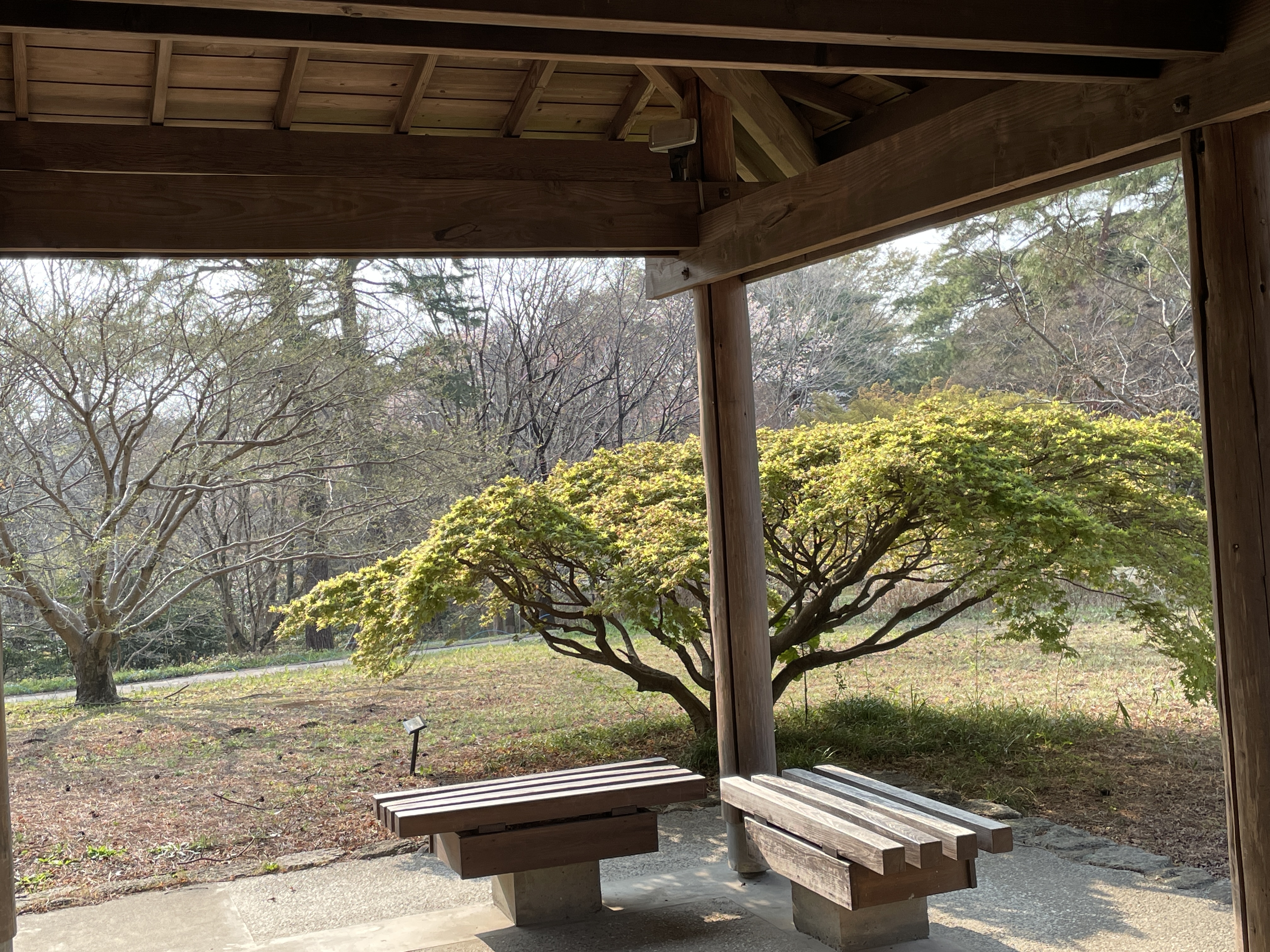 Парк Мусаси Кюрё и японские ёкаи - духи леса