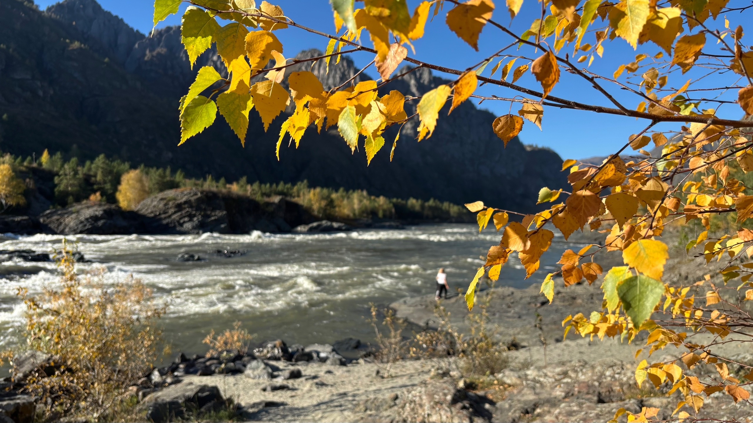 Сплав и конная прогулка