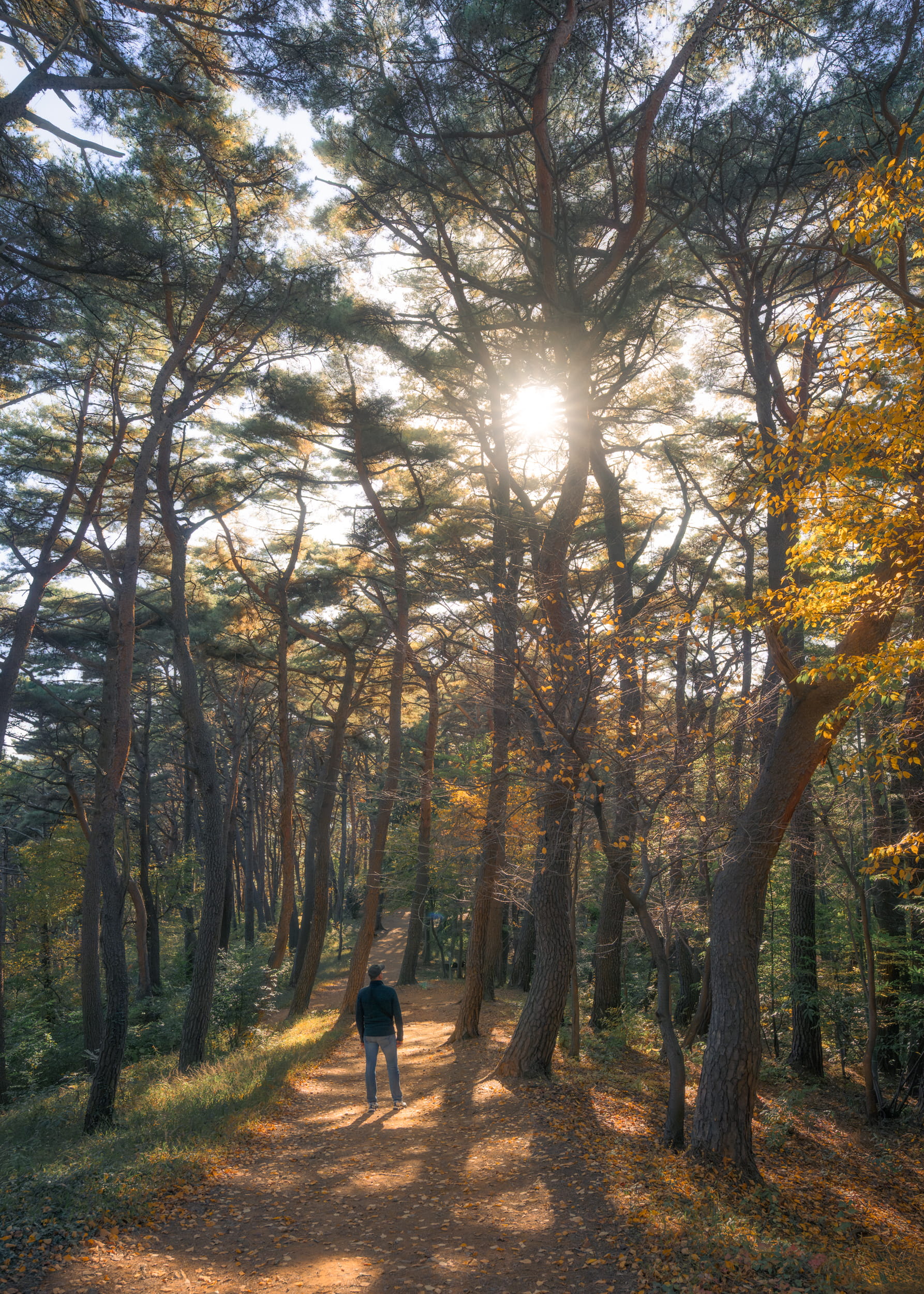 Naejangsan - Пусан