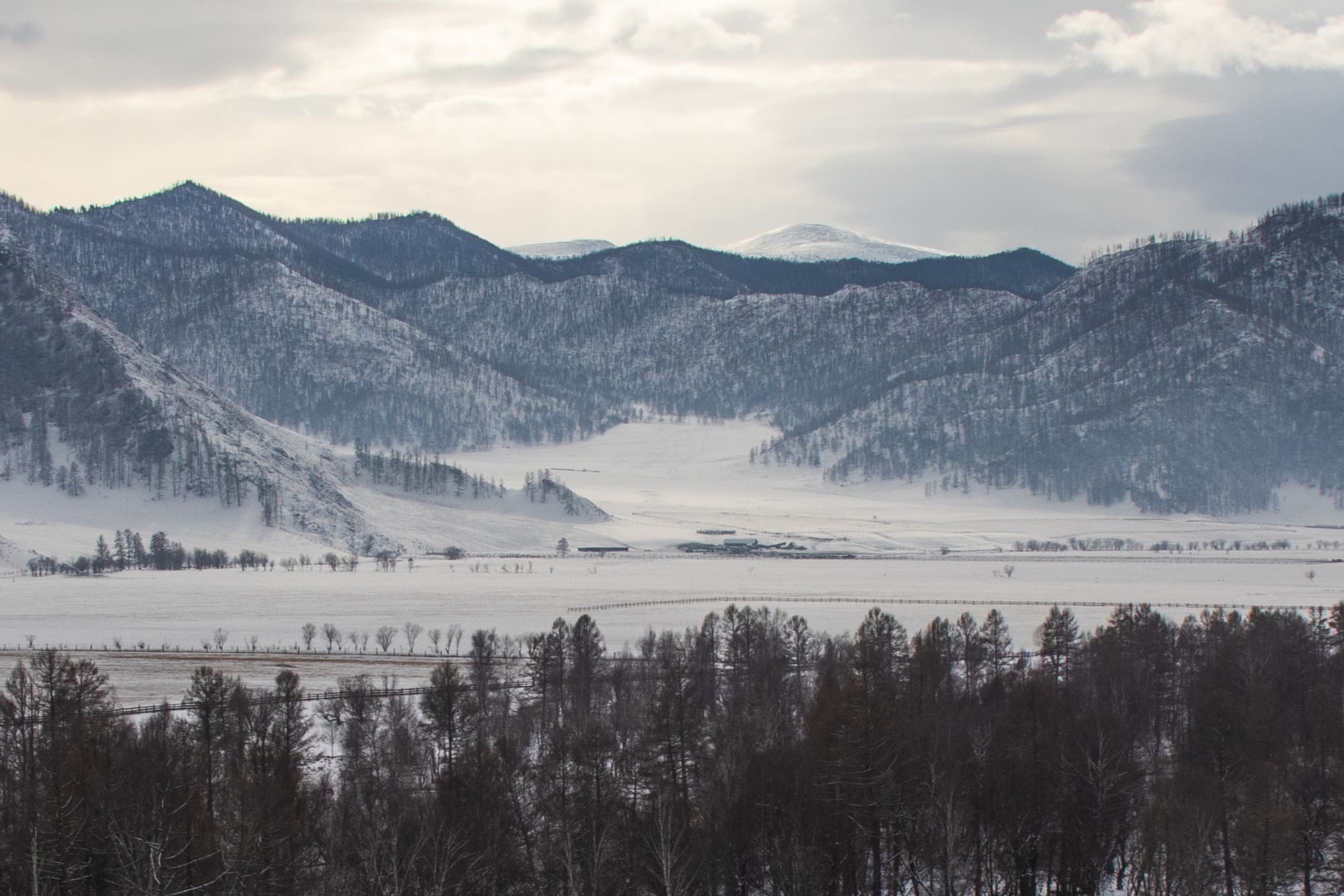 Лебединое озеро