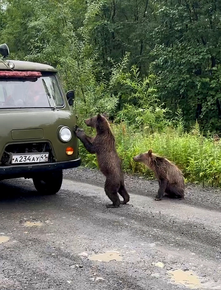 Вылет домой. Спасибо, Камчатка