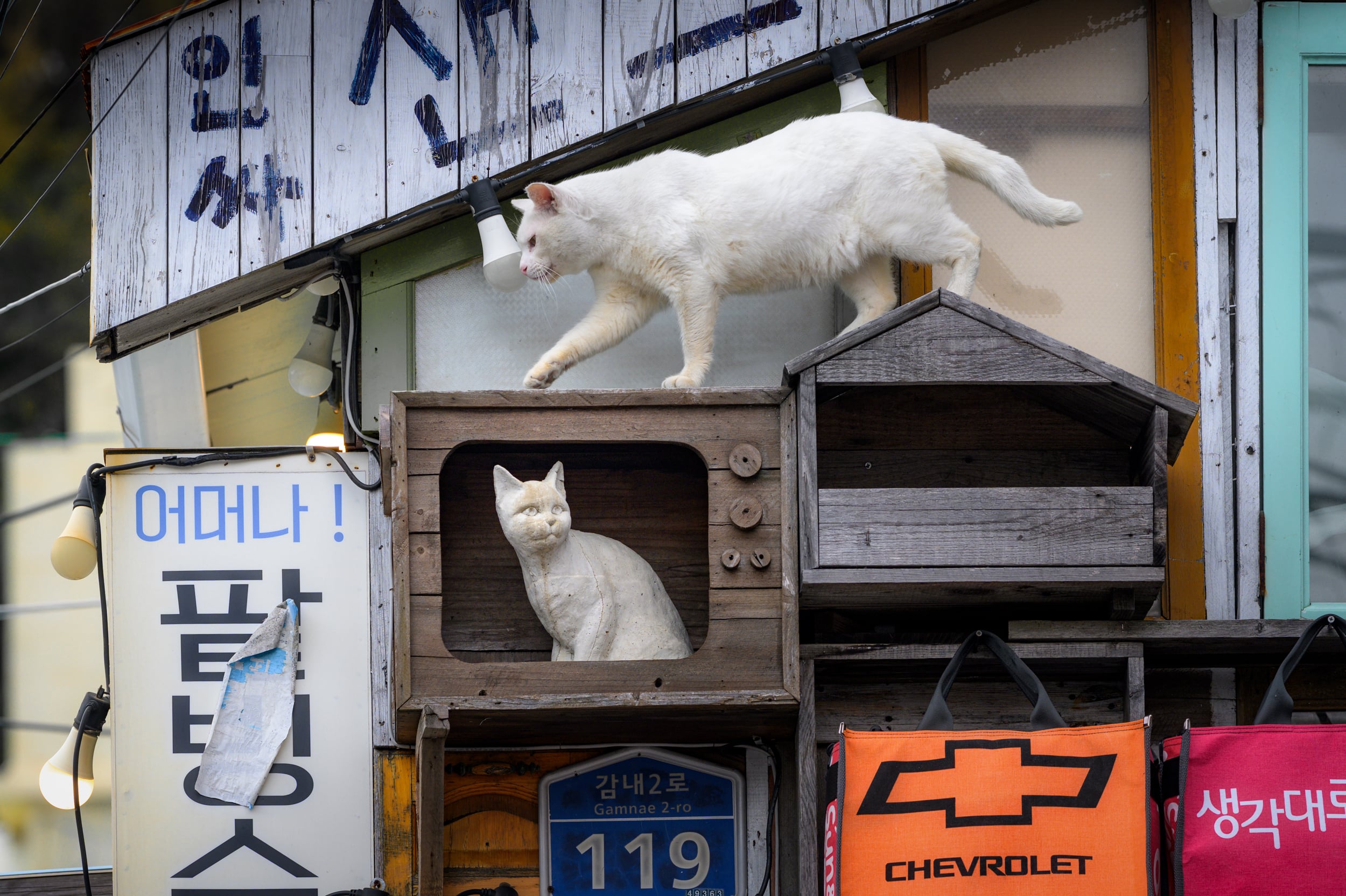 Южная Корея в сезон красных клёнов: Сеул, Пусан и национальные парки