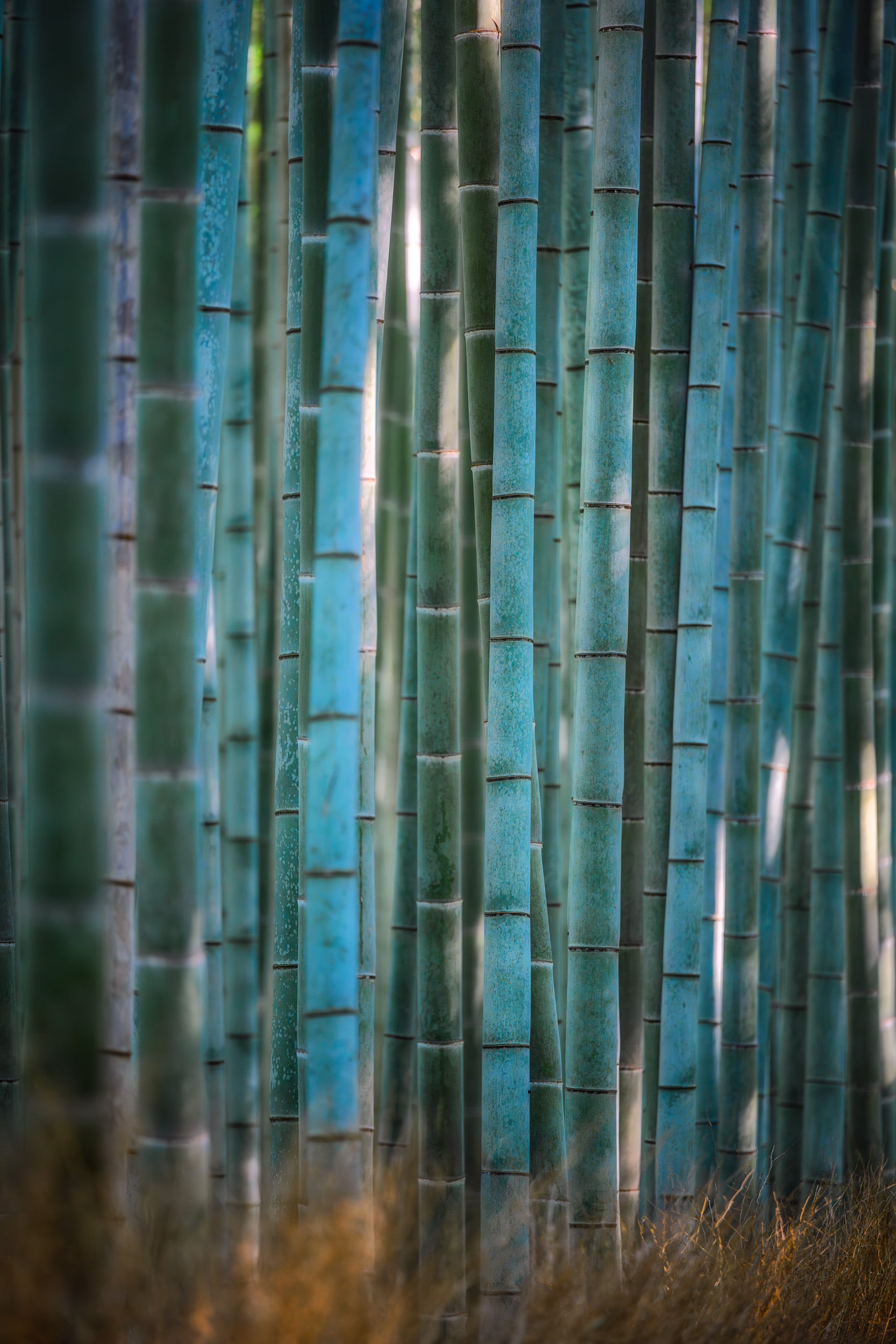 Naejangsan - Пусан