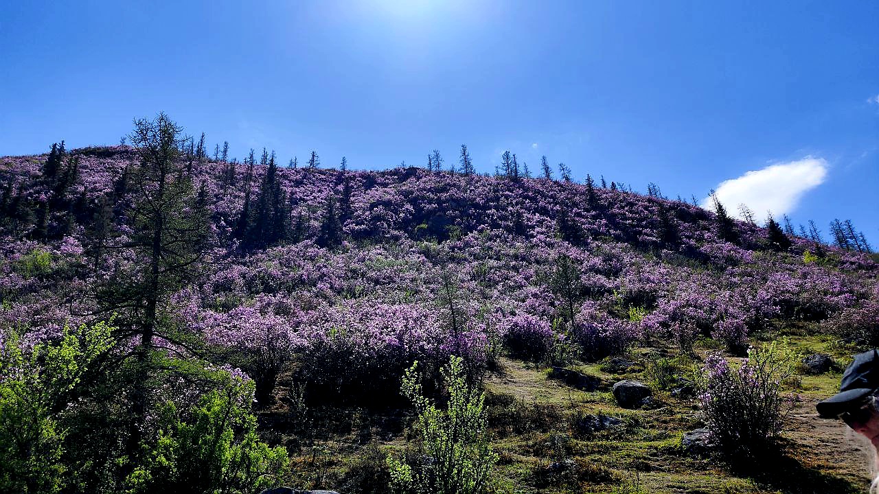 Чуйский тракт. Горный Алтай