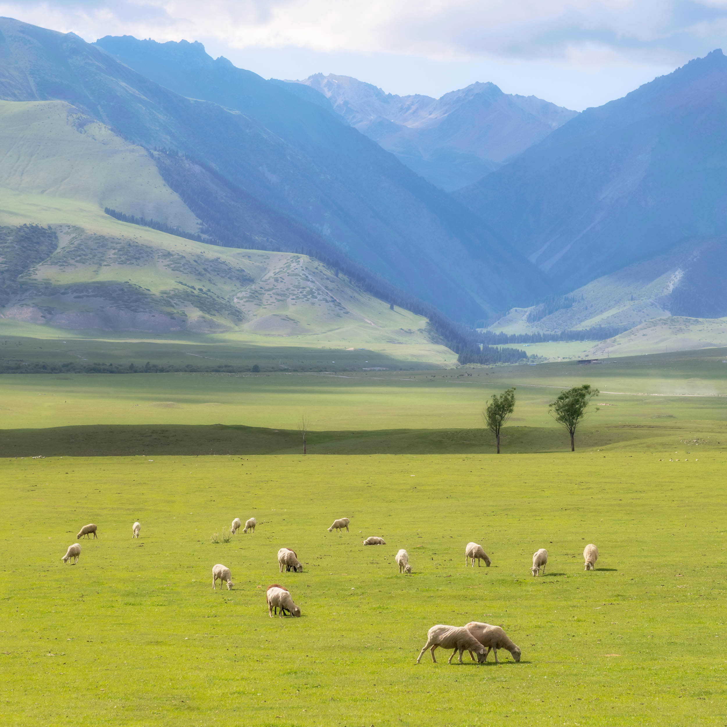 Чолпон-Ата - Каракол