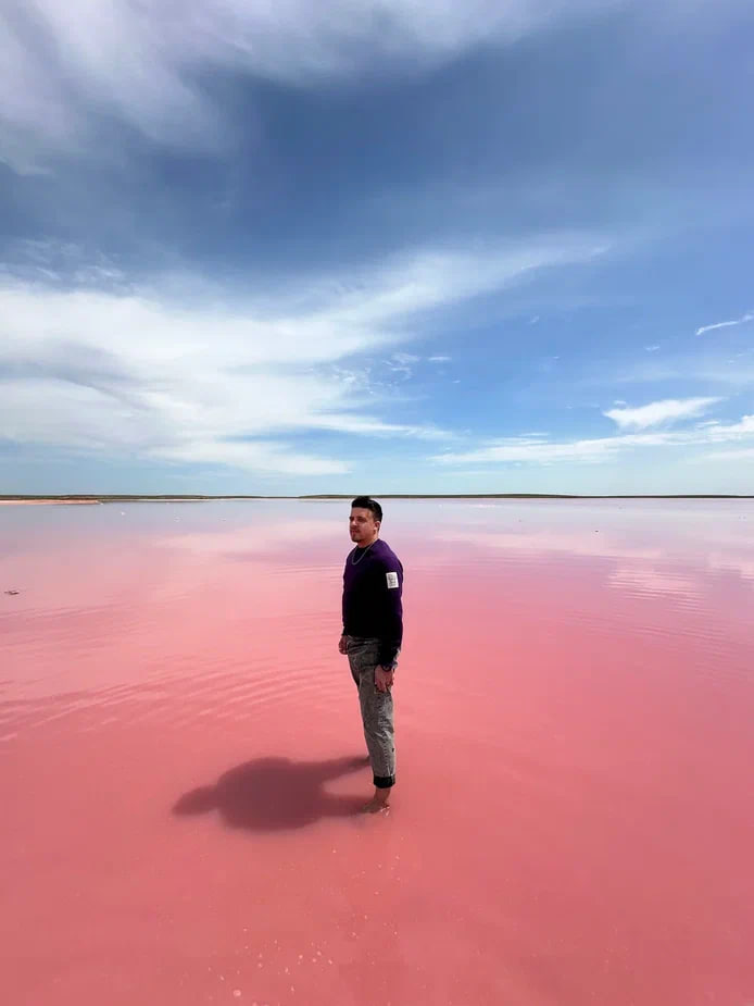 Калмыкия. Цветение тюльпанов.