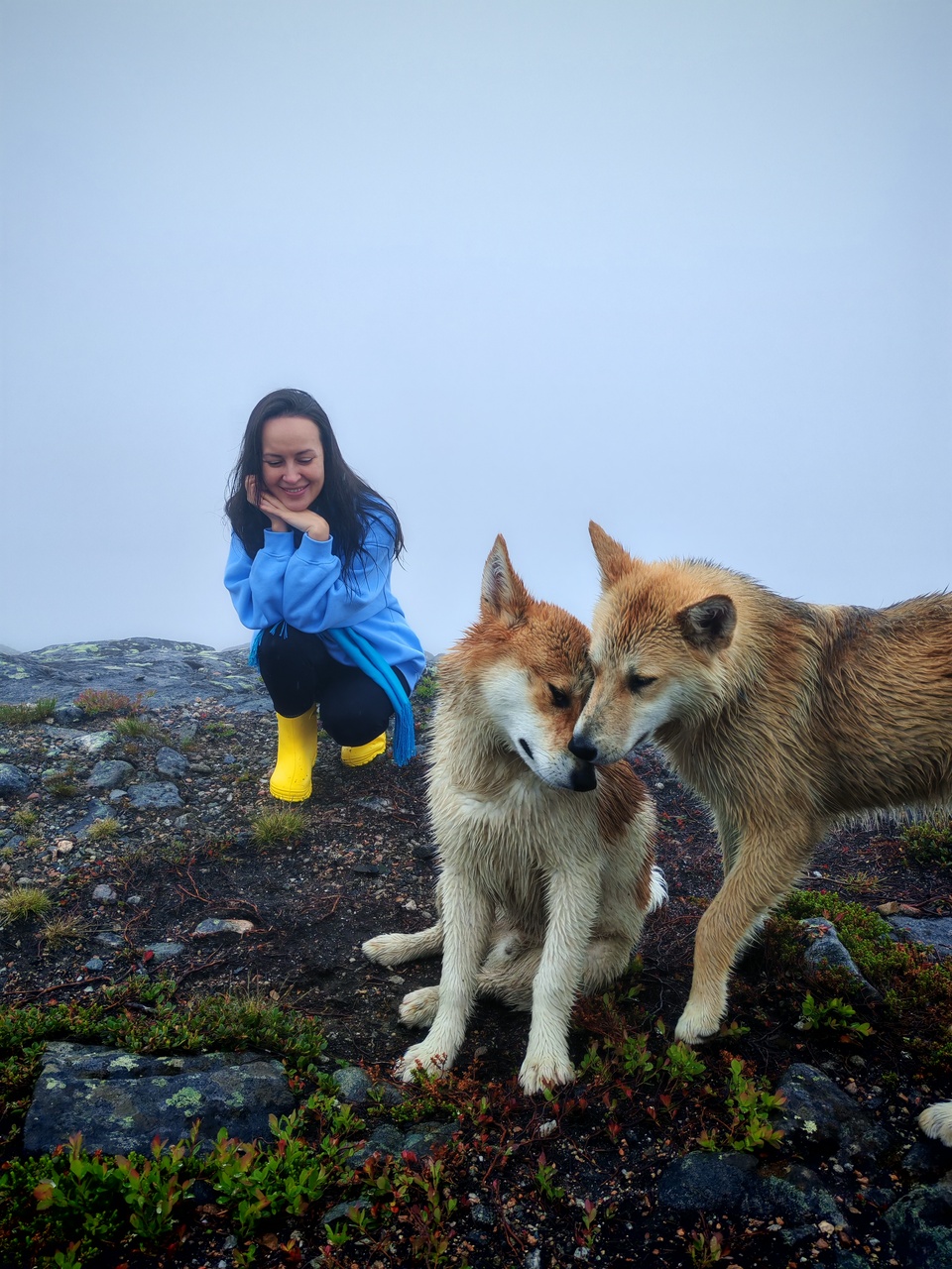 Безлюдный берег Белого моря. Комфорт тур, до 6 чел. Дикая природа, белухи, водопады