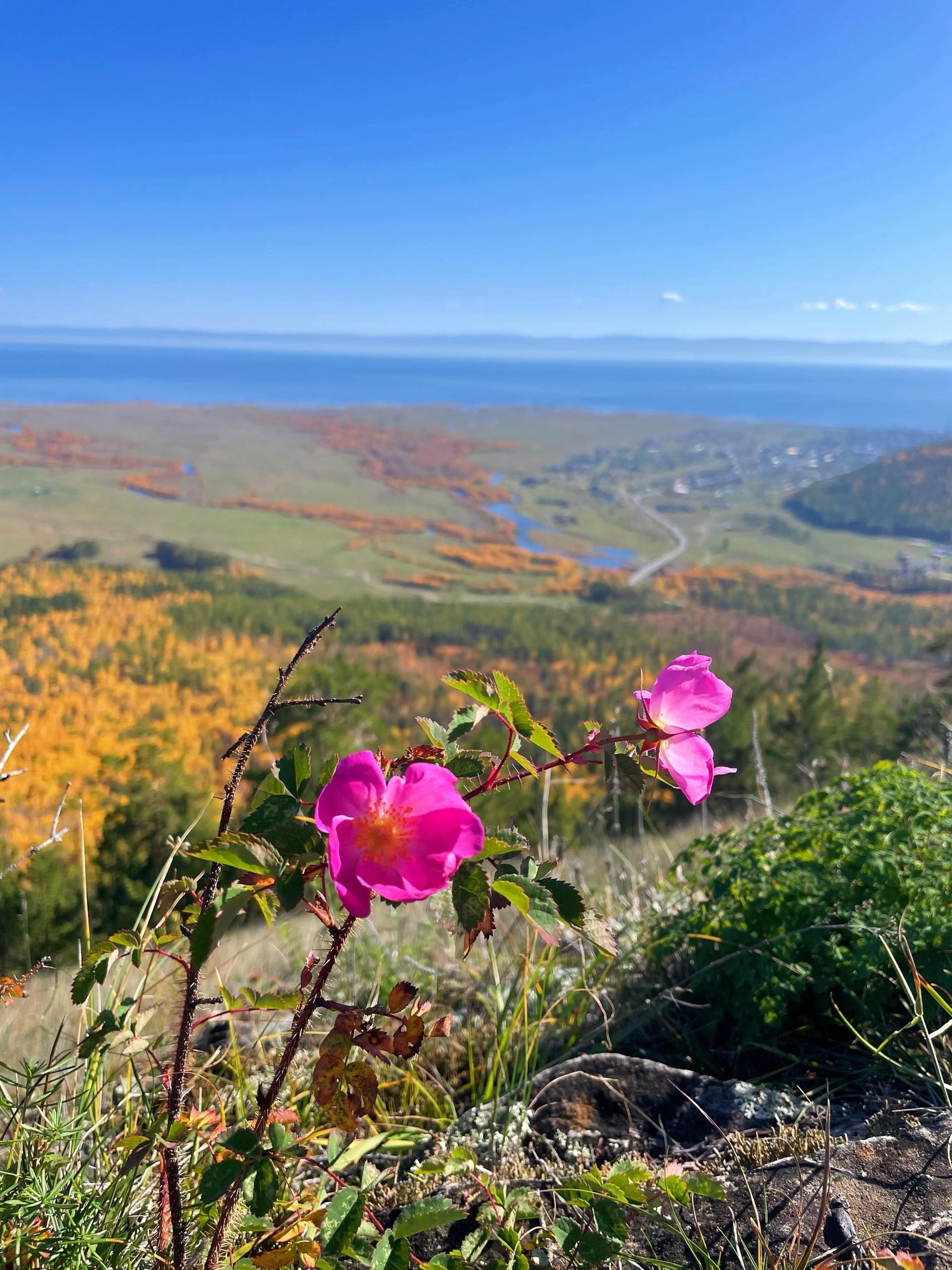 Йога-Тур на Байкале