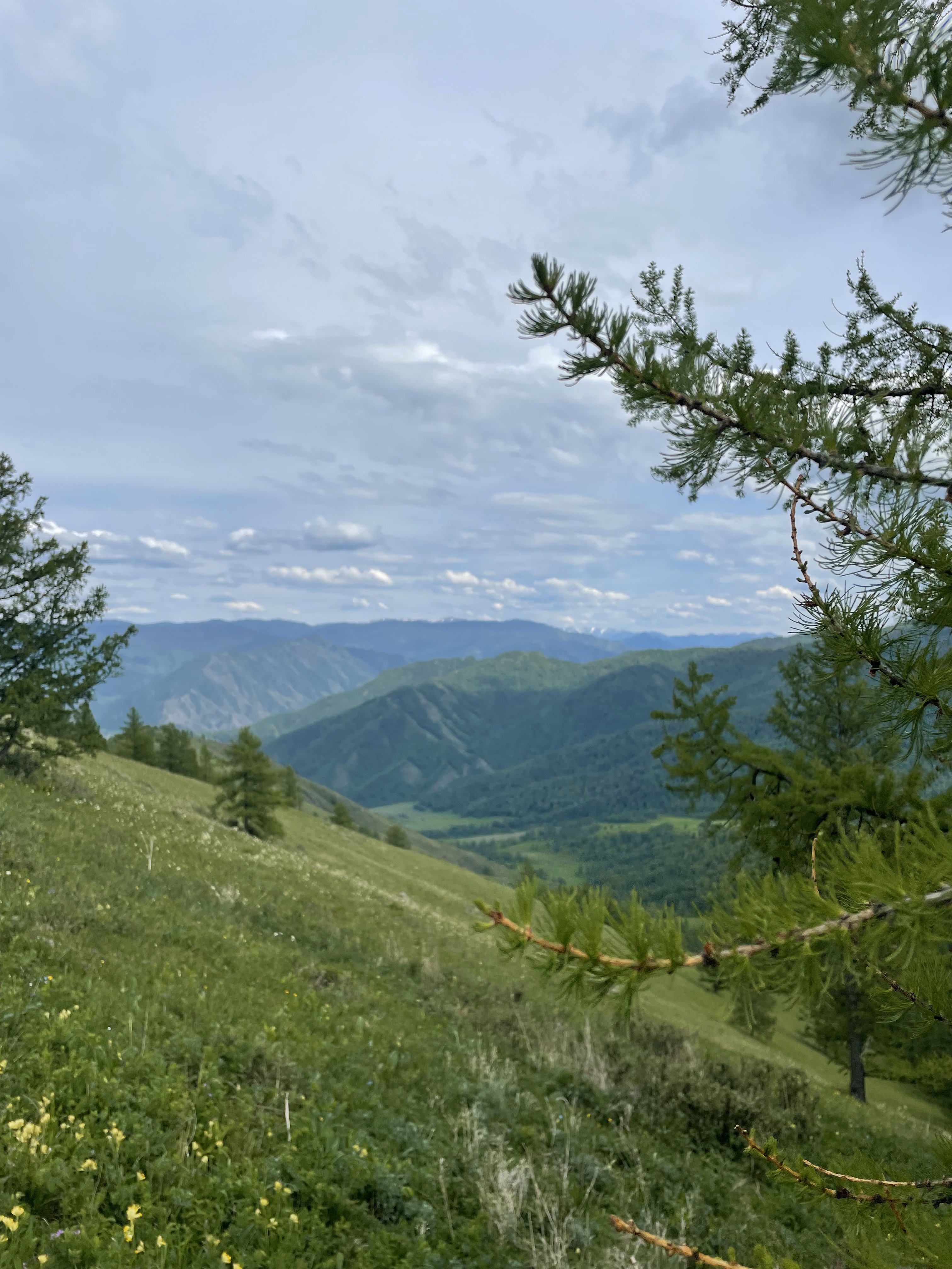 Топ на Алтае Летом, 5 дней (14/19)