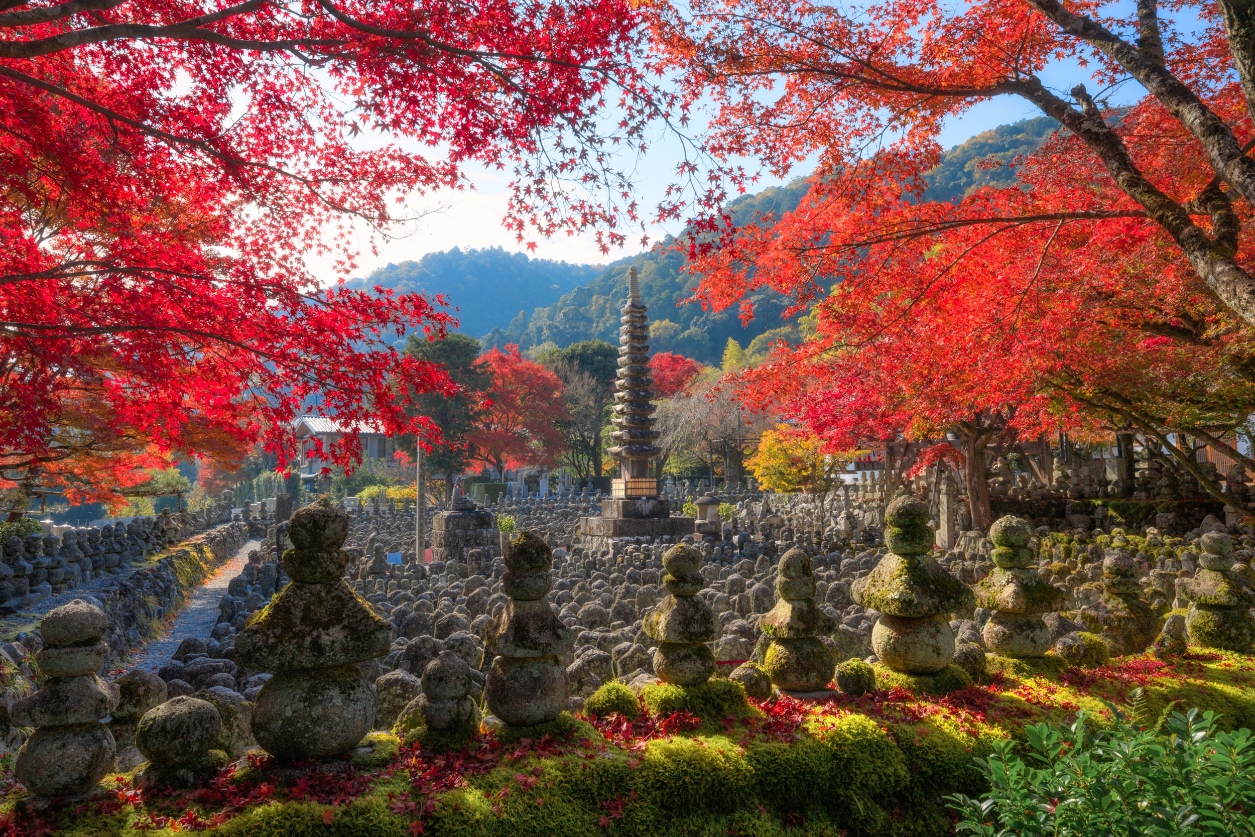 Япония в сезон красных кленов. Без спешки и суеты.