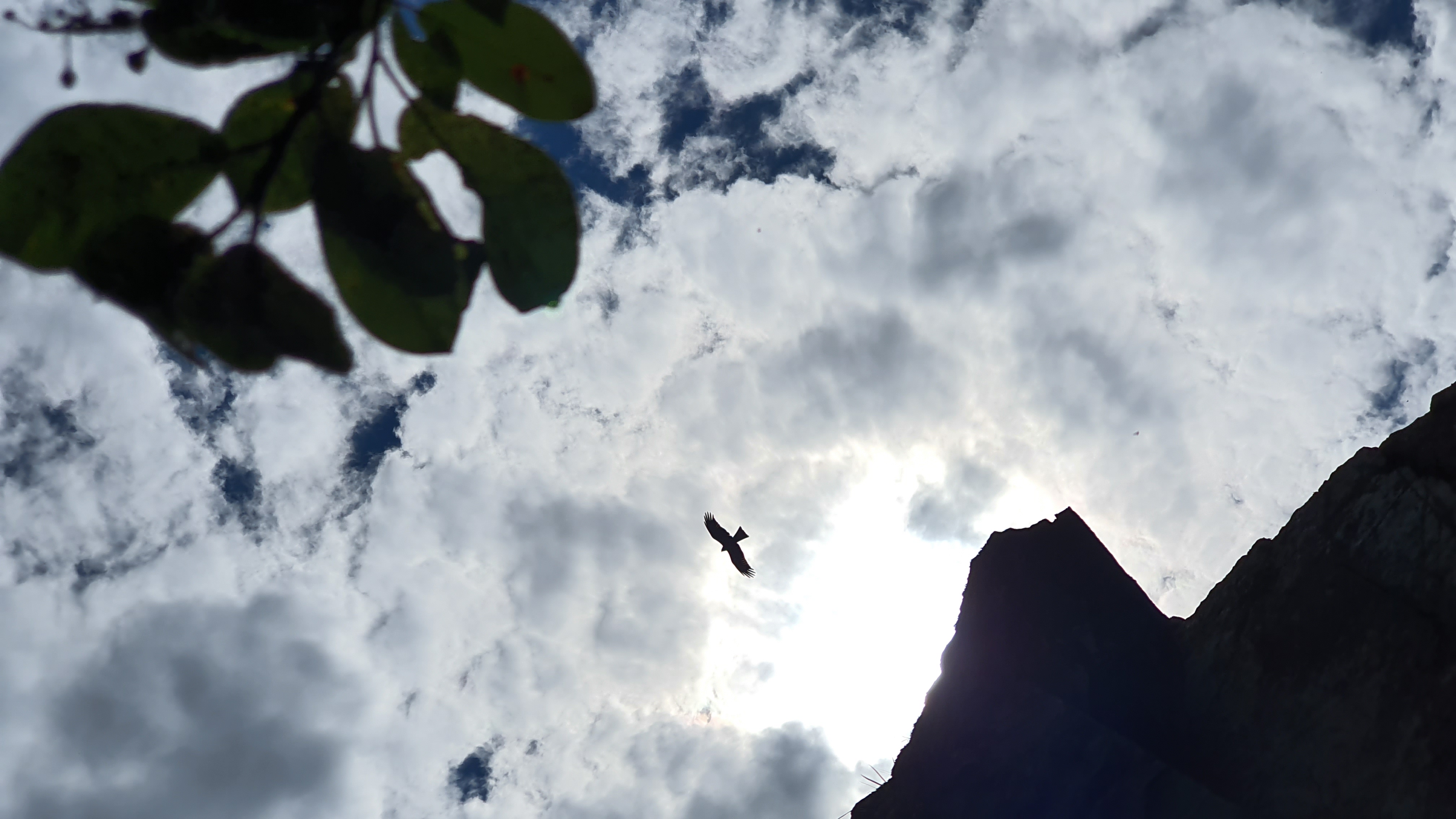 Джипинг по Салаирскому кряжу