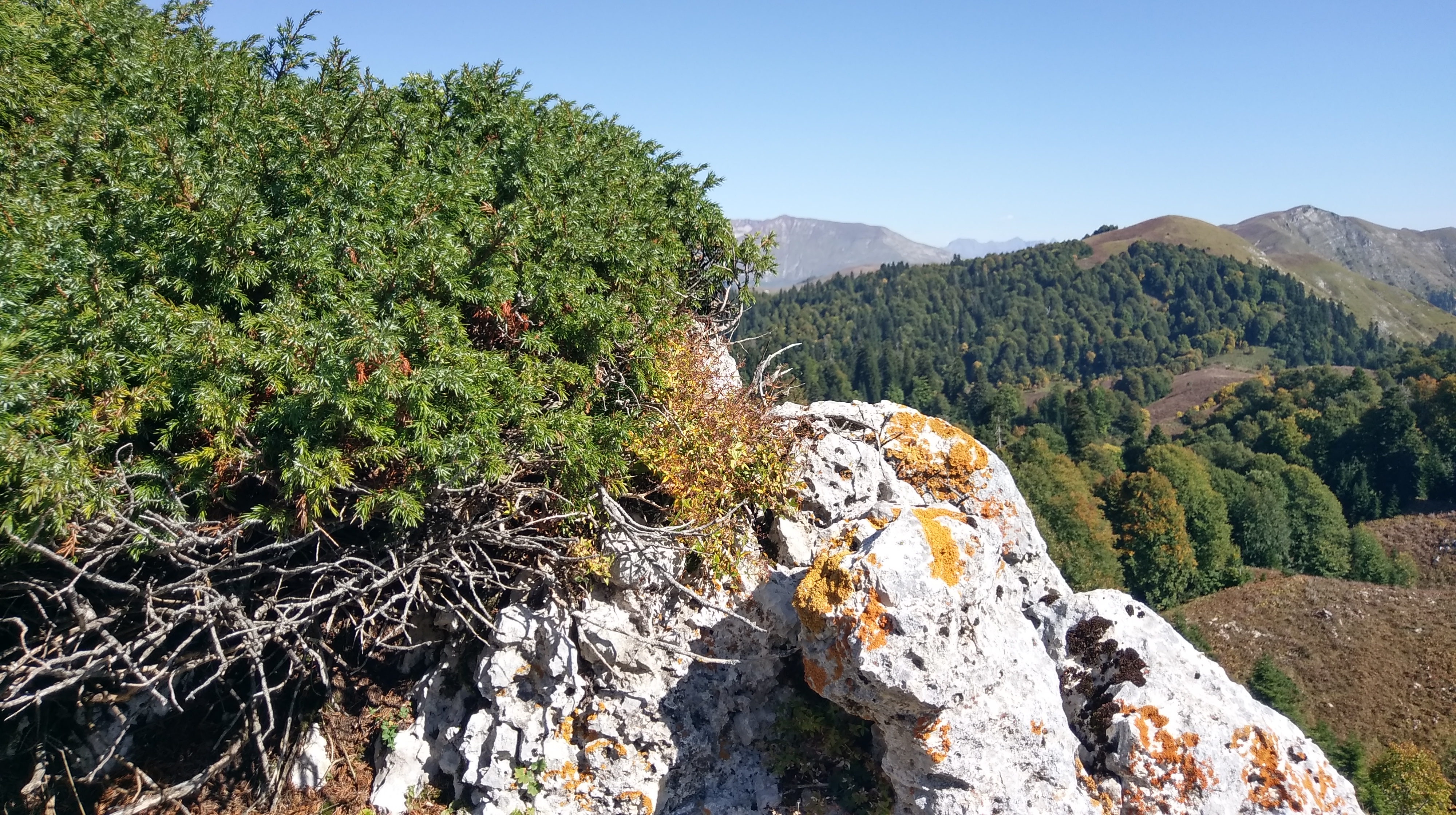 Хочу и Буду! - уникальный ретрит в горах у моря