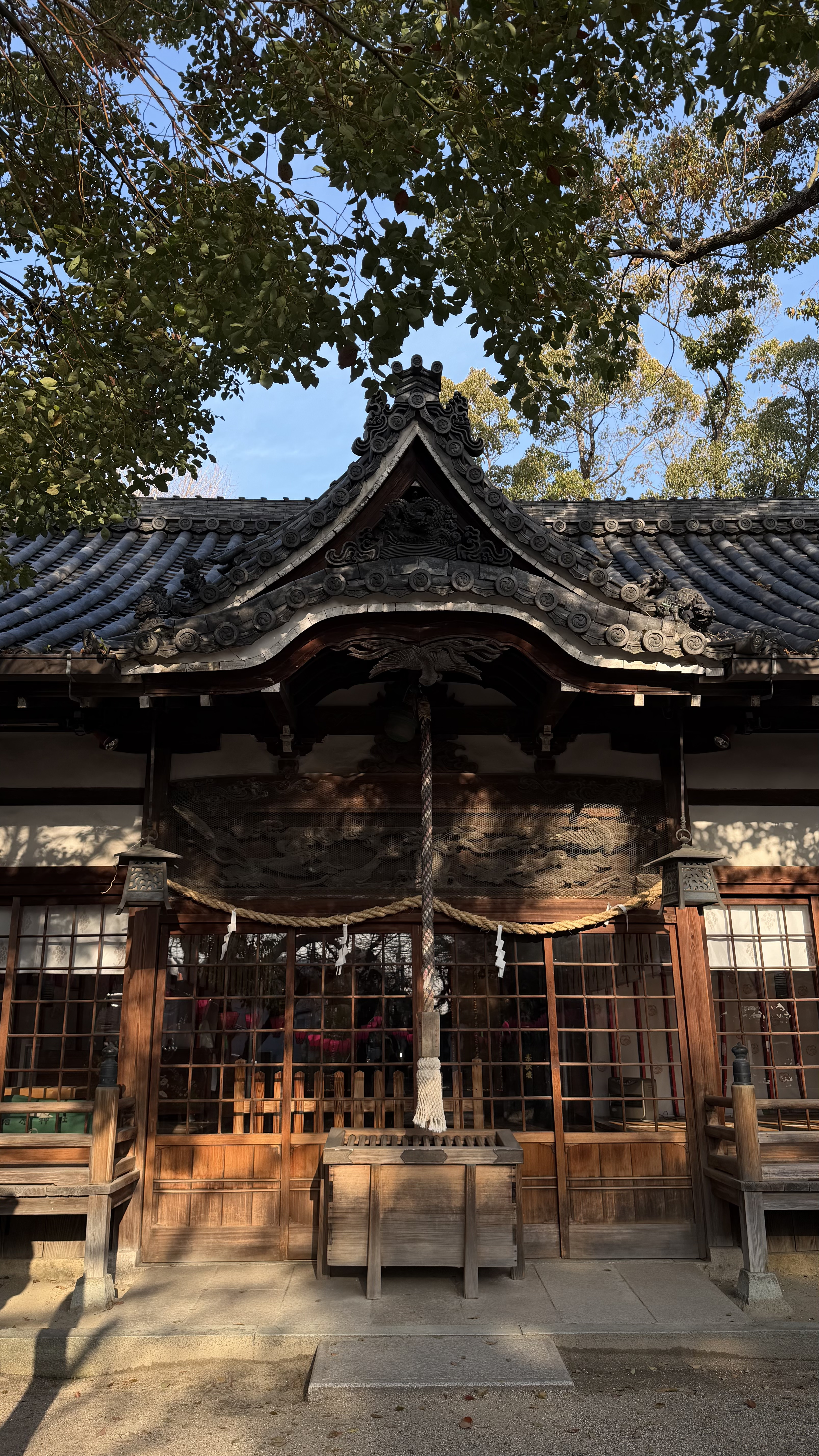 Первое свидание с Японией