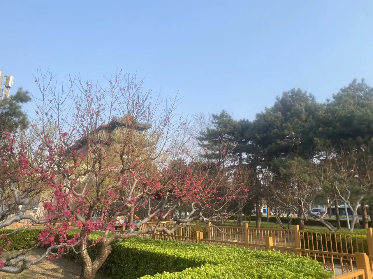 Китай,все включено!  На 10 дней! 5 городов