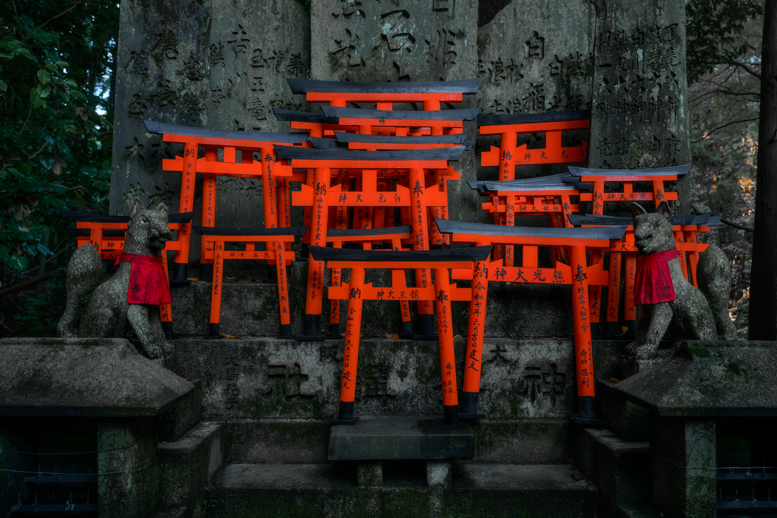 Япония с комфортом. Путешествие за фотографиями и настроением