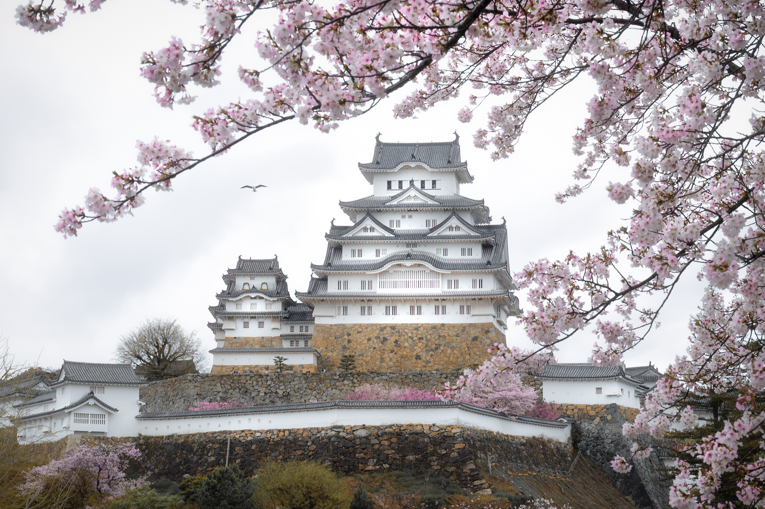 Осака - Химедзи