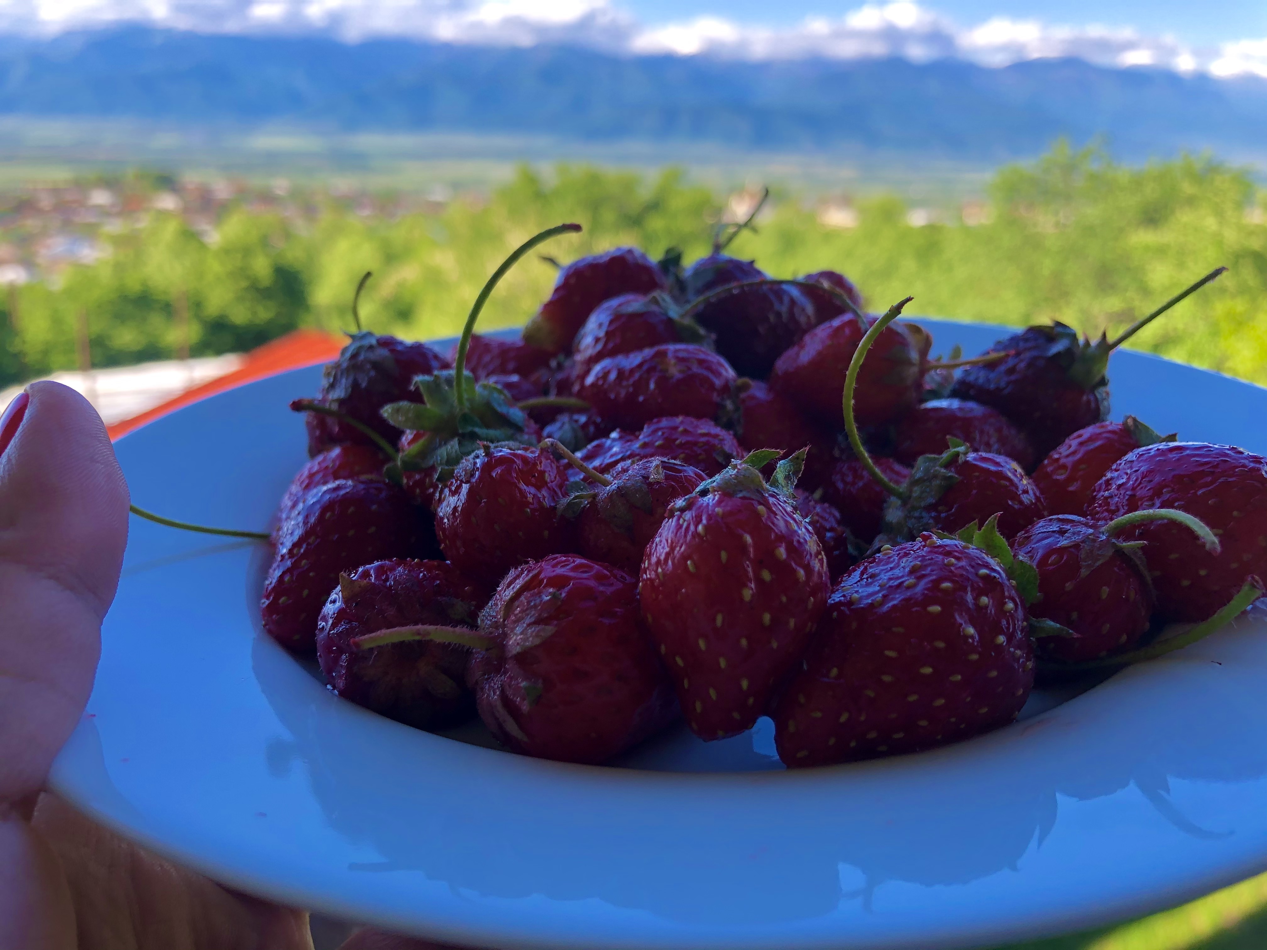 Весенняя Грузия. Энергия жизни в горах Кавказа, долинах Кахетии и теплом Тбилиси. (11/19)