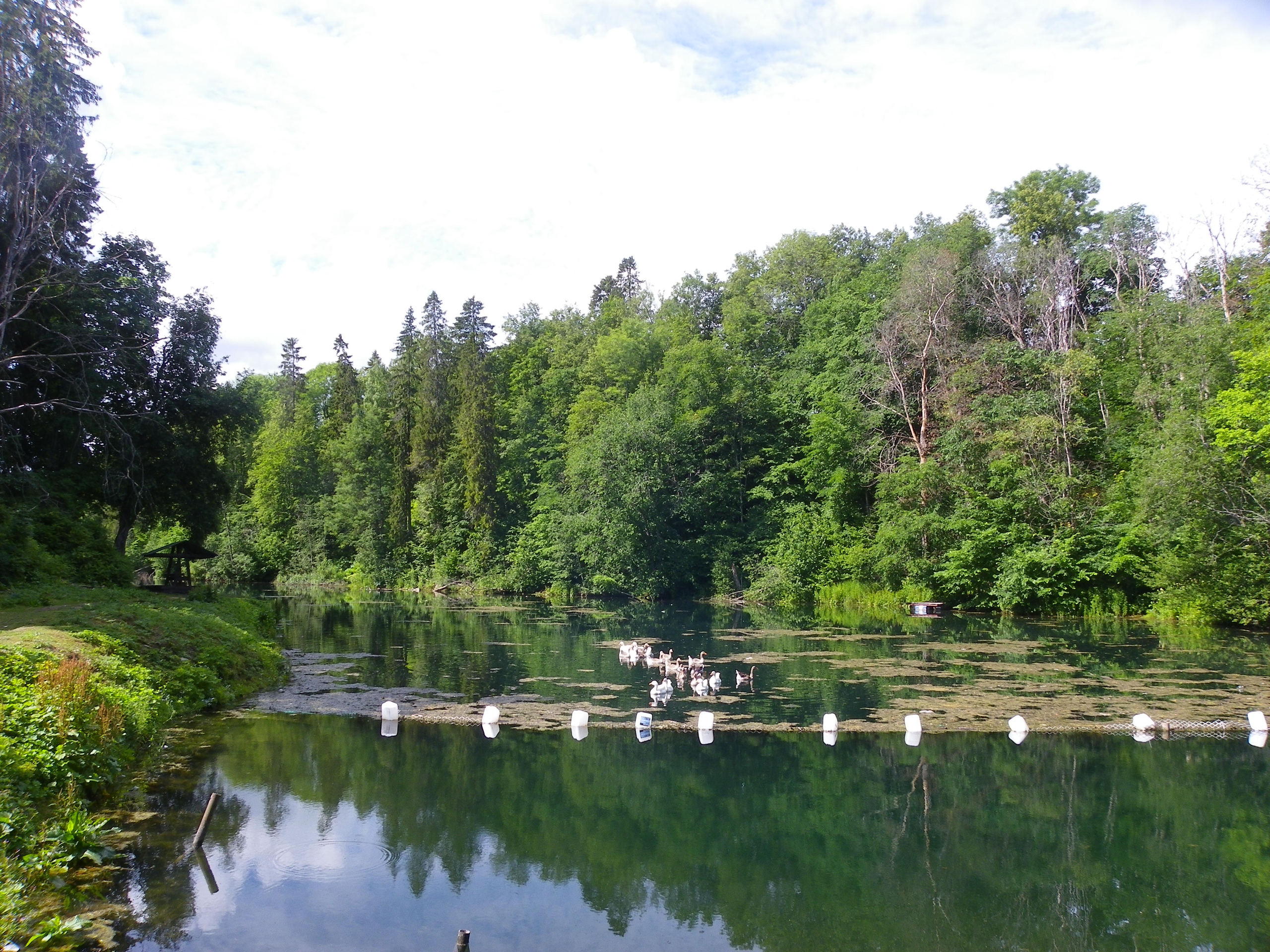 Памятники природы Ингерманландии. Автобусно-пешеходная экскурсия
