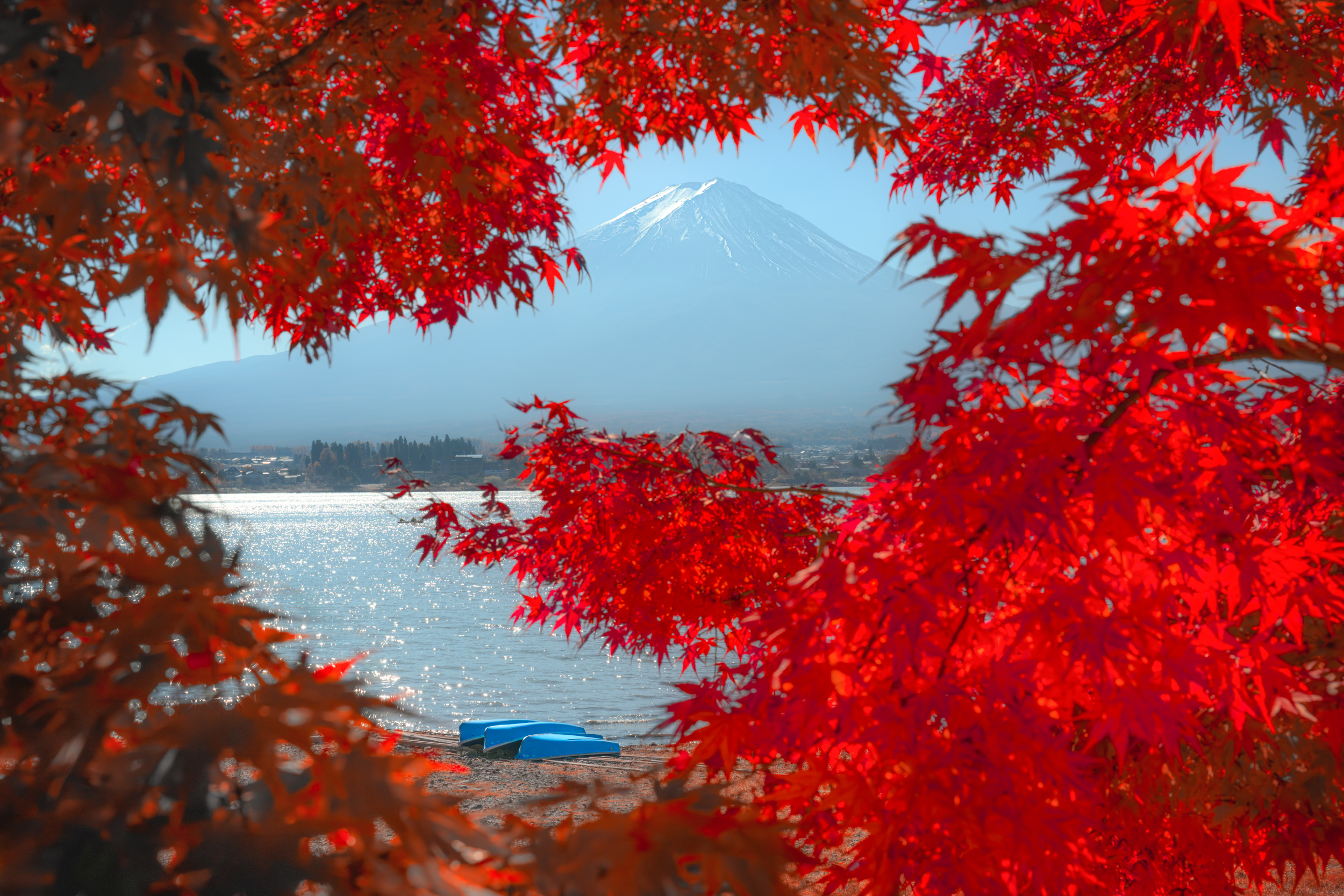 Красные клёны в стране самураев