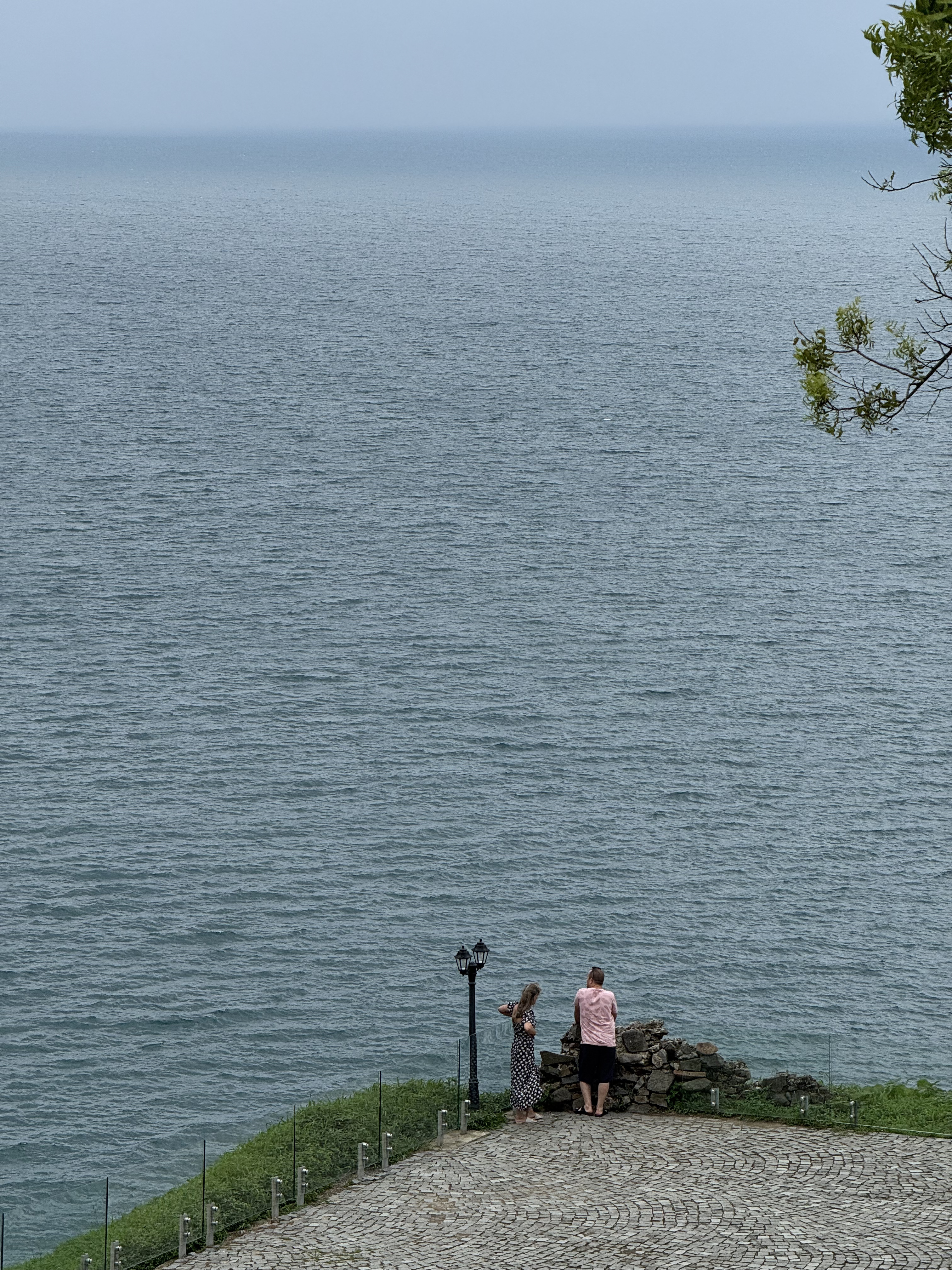 Зелёный Батуми