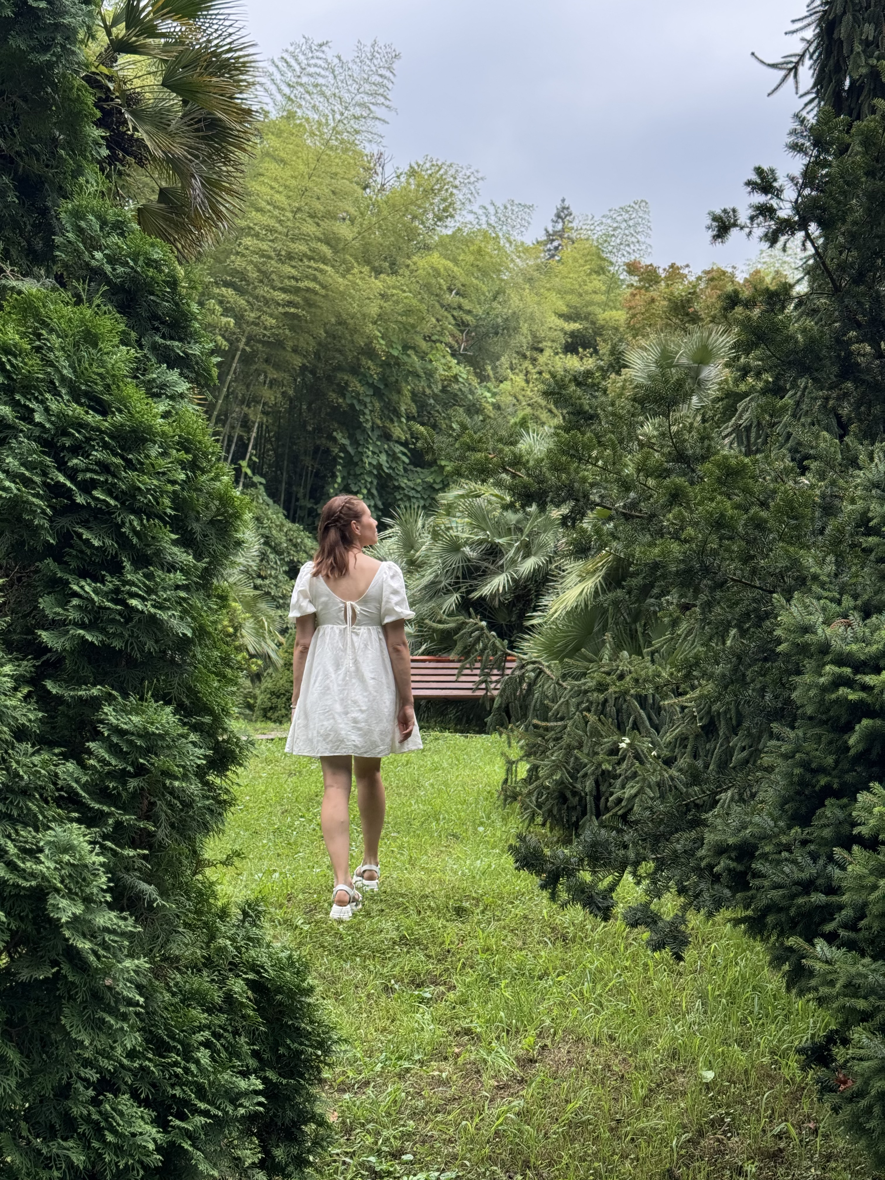 Зелёный Батуми