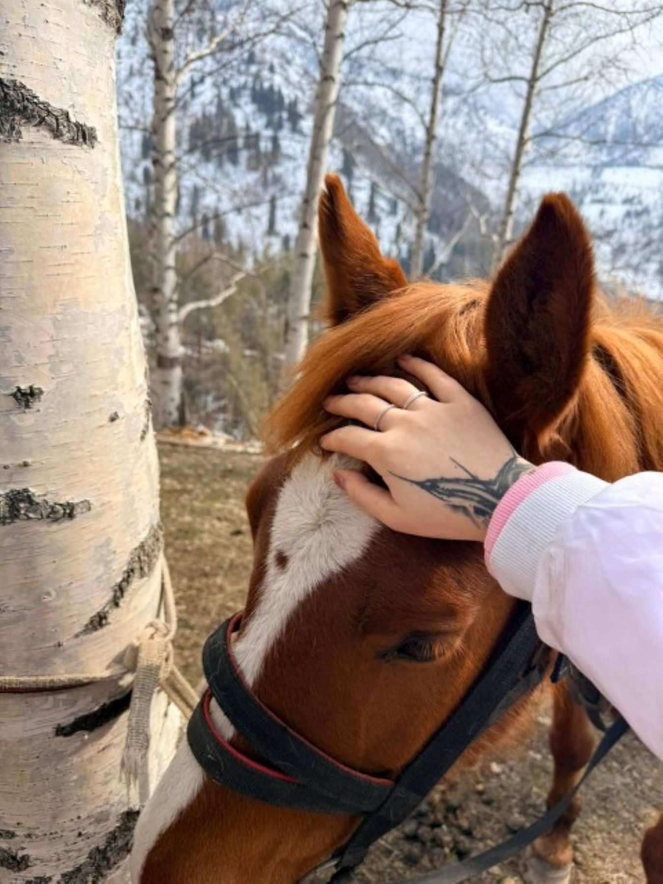 Горы Алматы: высота, ледники и свобода